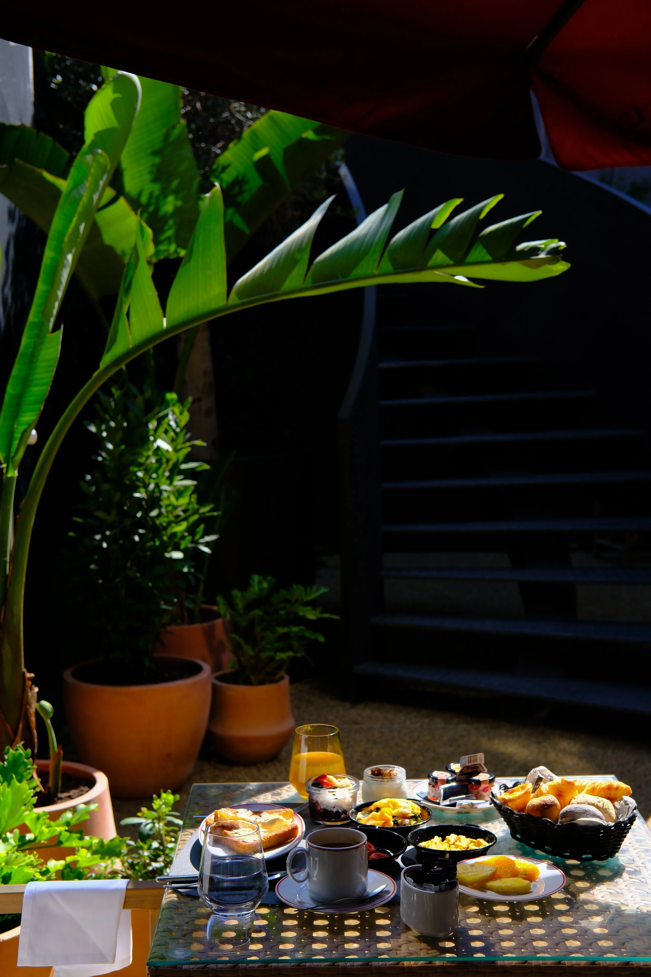 Fresh breakfast served on the garden terrace surrounded by lush greenery