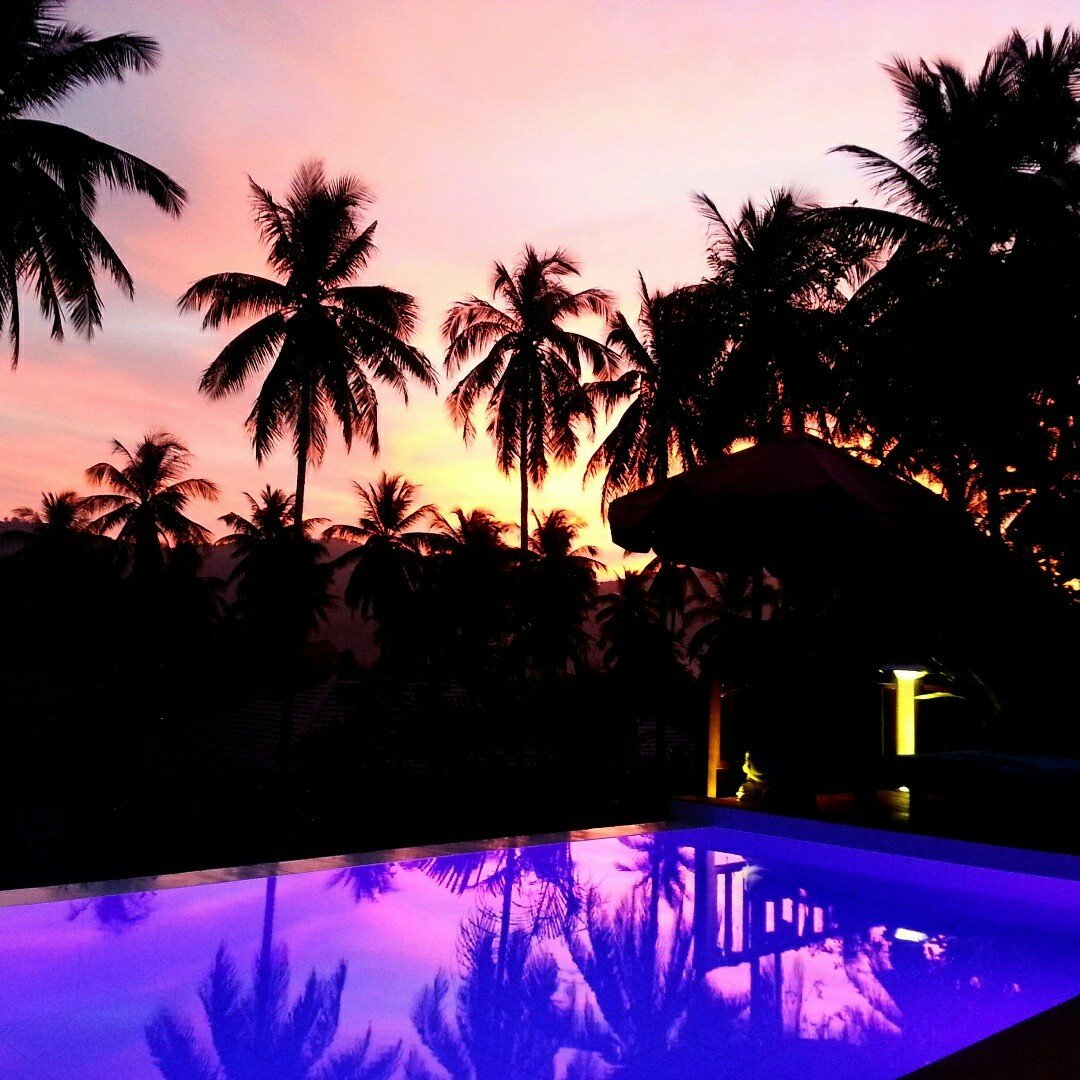 Tropical Season Villa Resort Logo