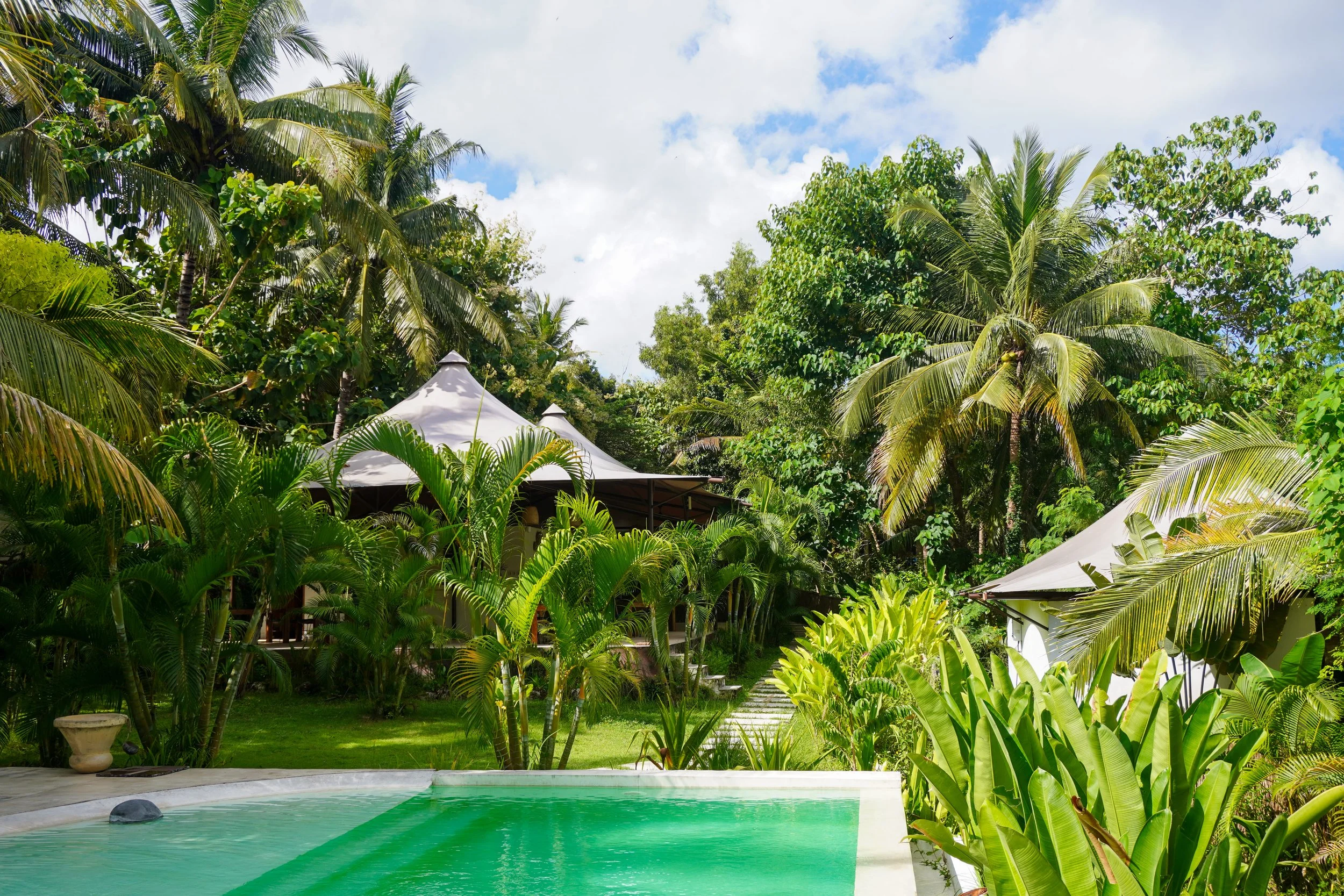 Hidden pool framed by palms and vibrant foliage, a secluded oasis immersed in nature, Autentik Penida – Nusa Penida, Bali.