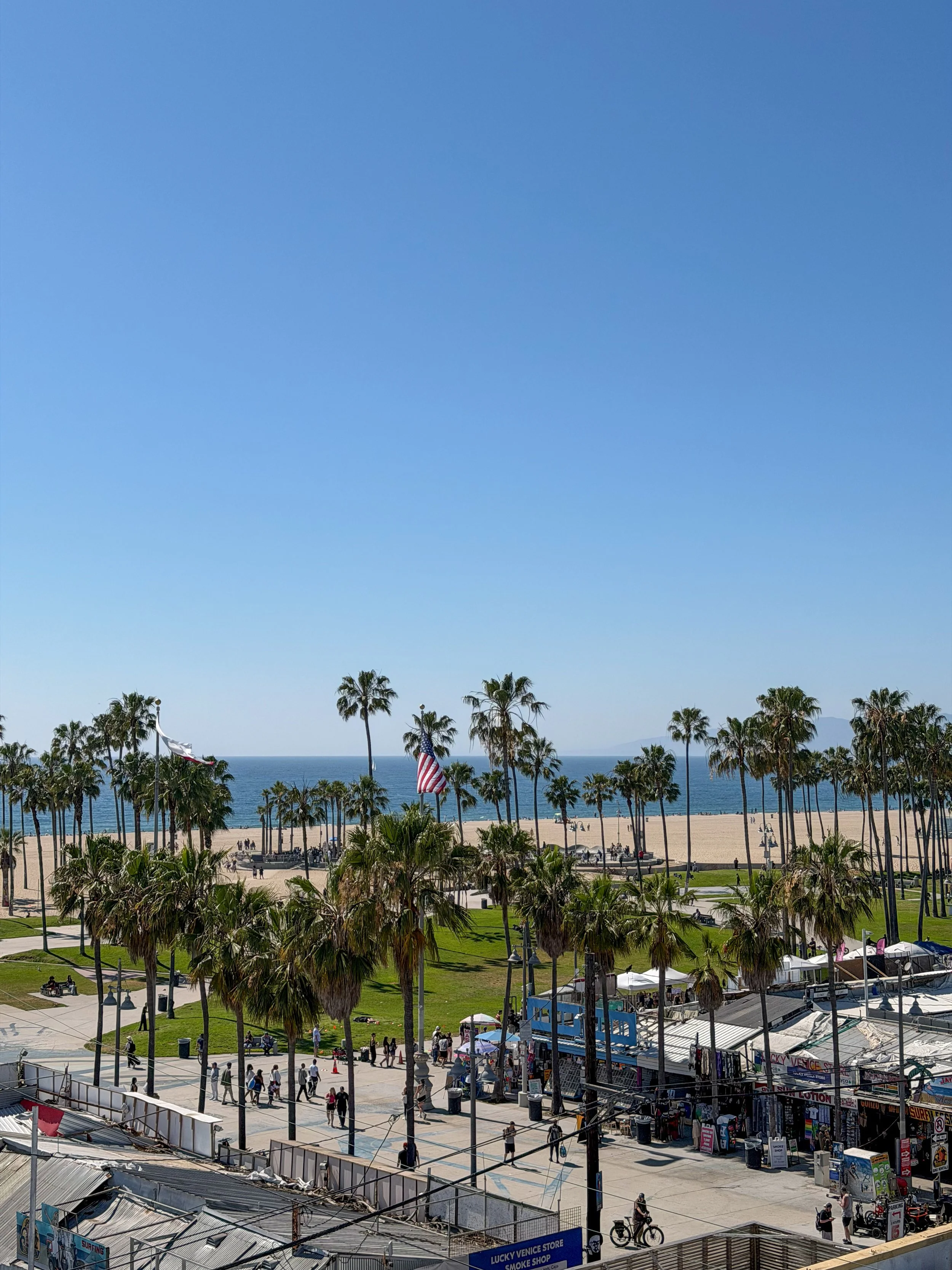 Panoramic ocean views across Venice Beach featuring palm trees, golden sand, and the Pacific coastline