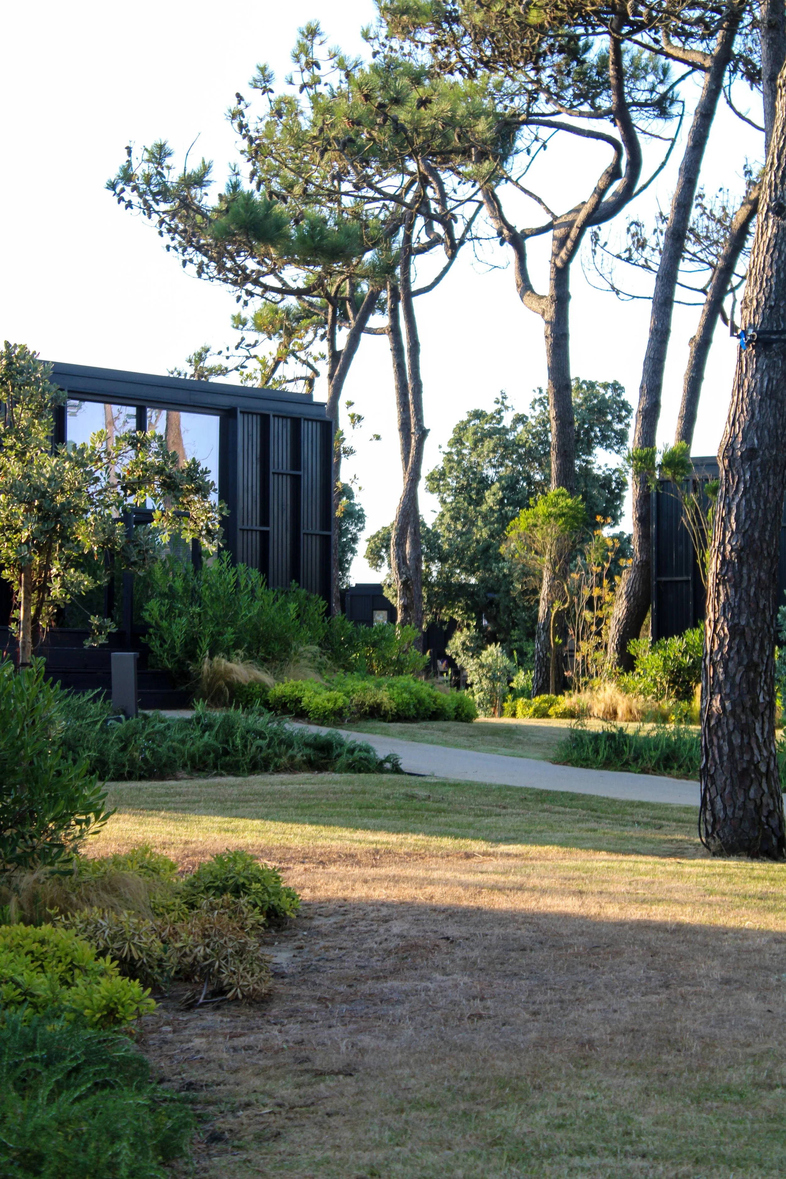 Woodland pathways connecting contemporary lodges through landscaped gardens