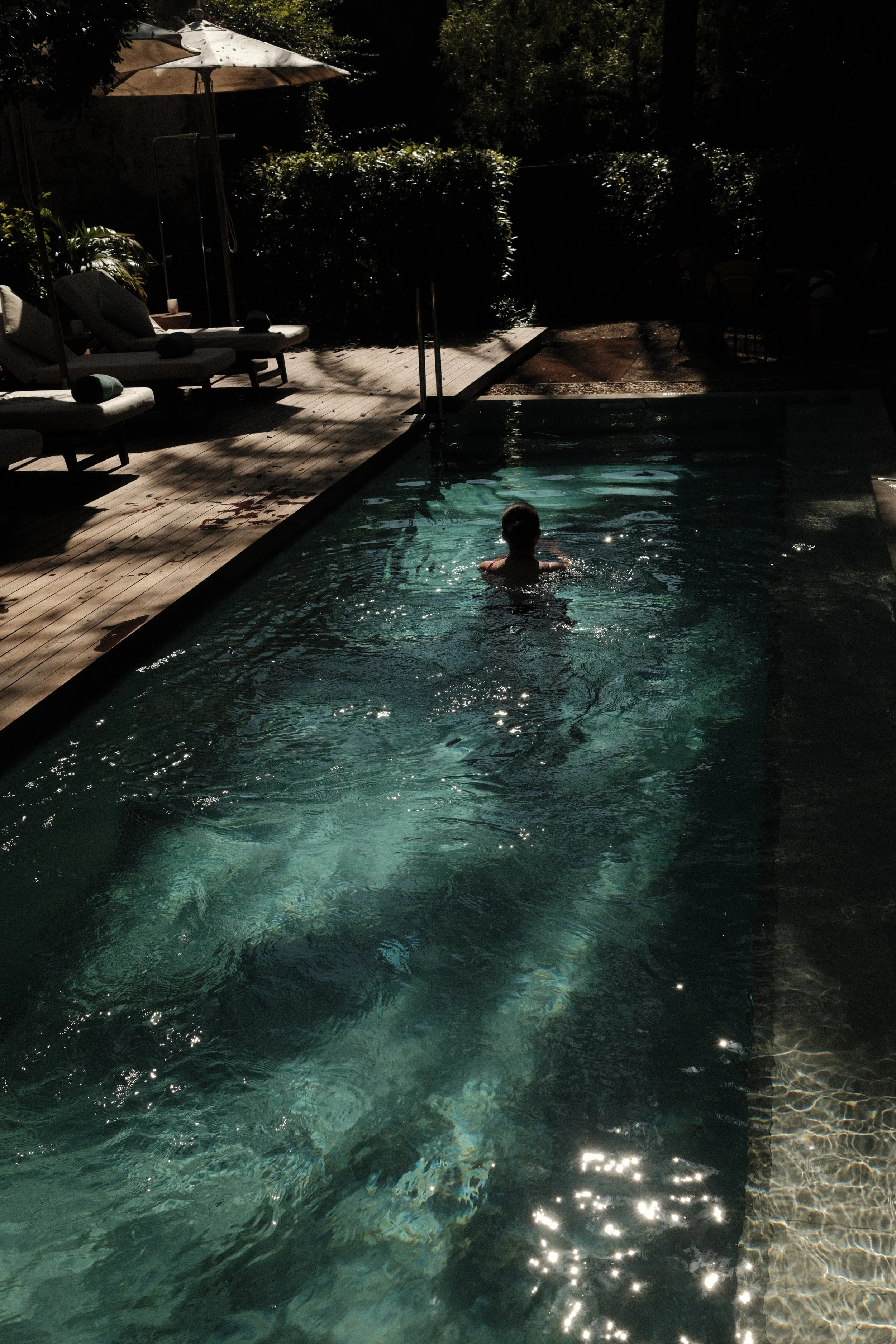 Garden pool surrounded by tropical greenery creating a peaceful urban retreat in Palma