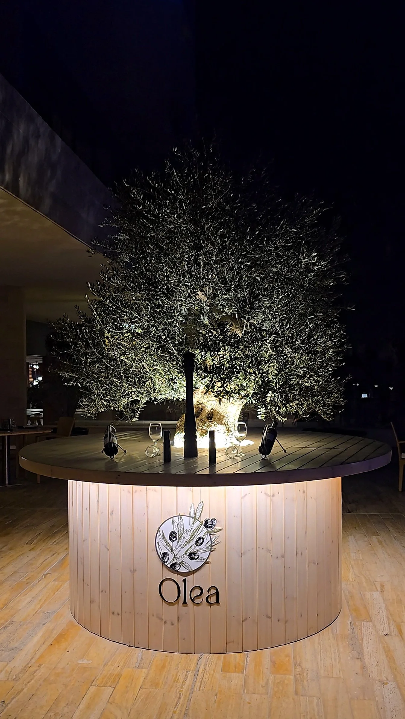 Outdoor olive tree centerpiece creating a refined evening atmosphere at Olea restaurant