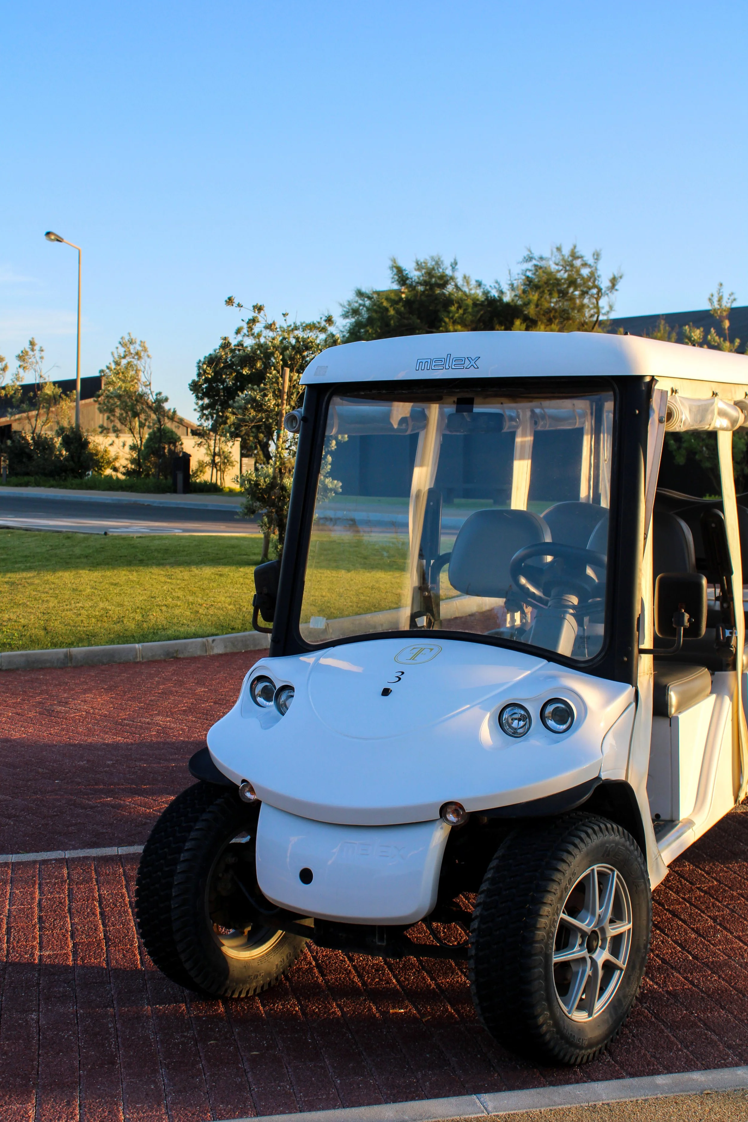 Electric buggy providing convenient transport throughout the nature resort