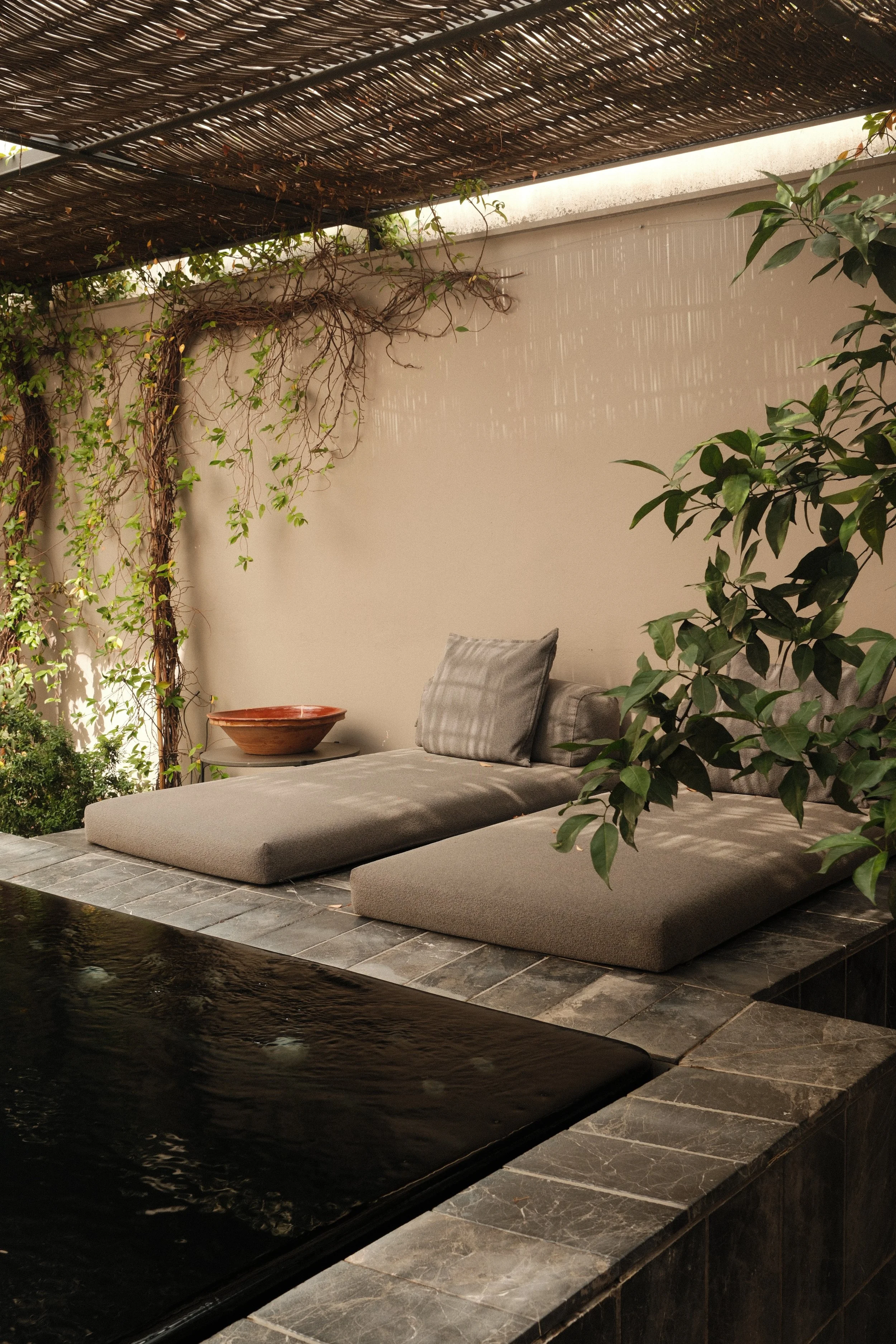 Private courtyard with cushioned loungers, climbing greenery, and a tranquil plunge pool