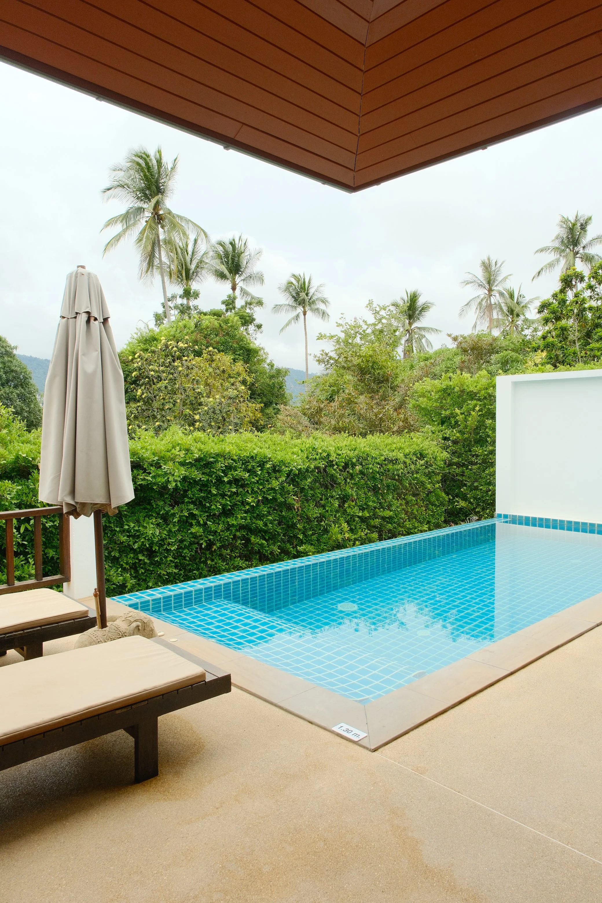Private swimming pool with sun loungers overlooking palm trees and dense tropical gardens