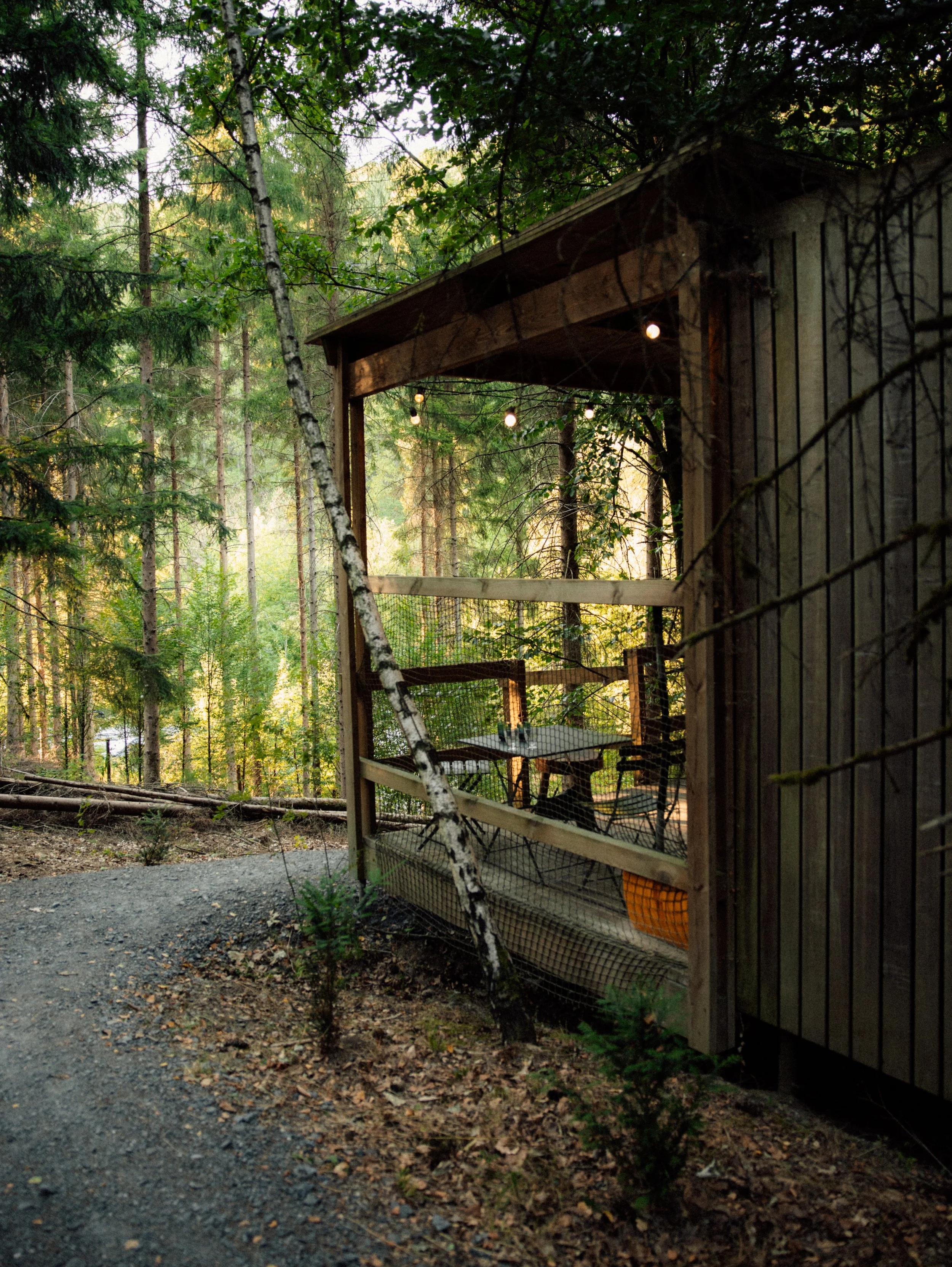 Private terrace overlooking the surrounding woodland and scenic walking paths