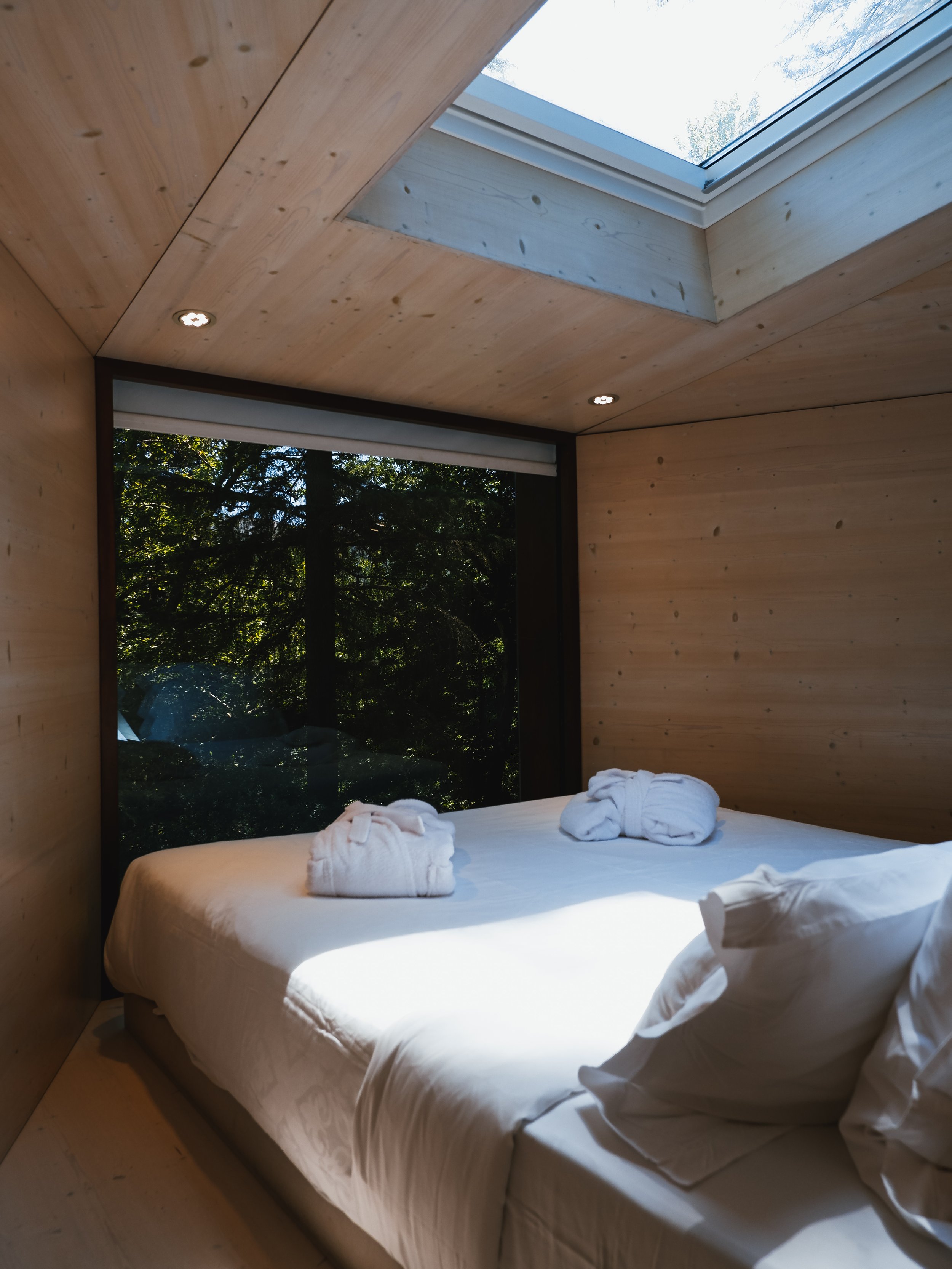 Minimalist forest accommodation with natural wood interiors and a skylight above the bed