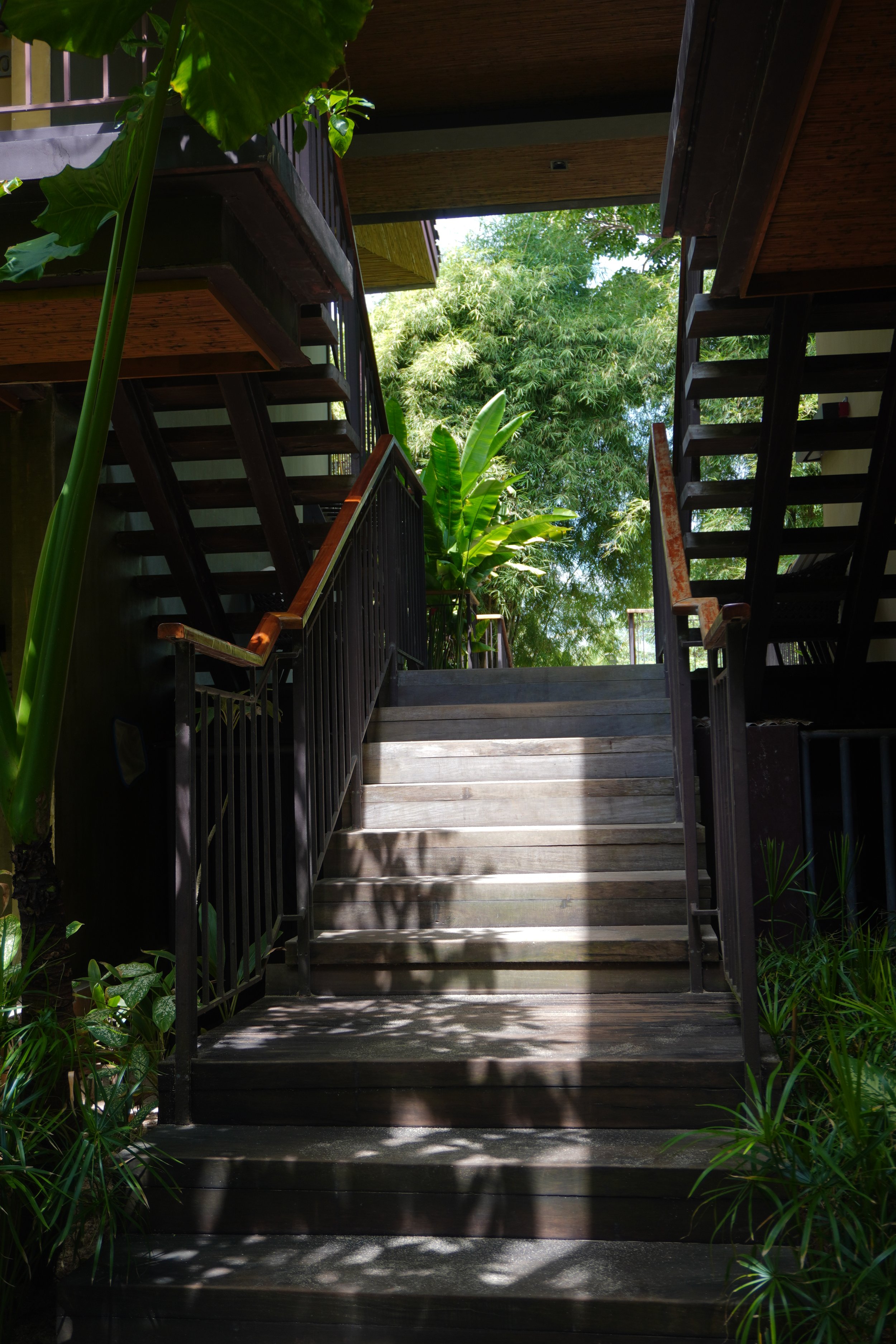 Open air walkways blending contemporary architecture with tropical nature