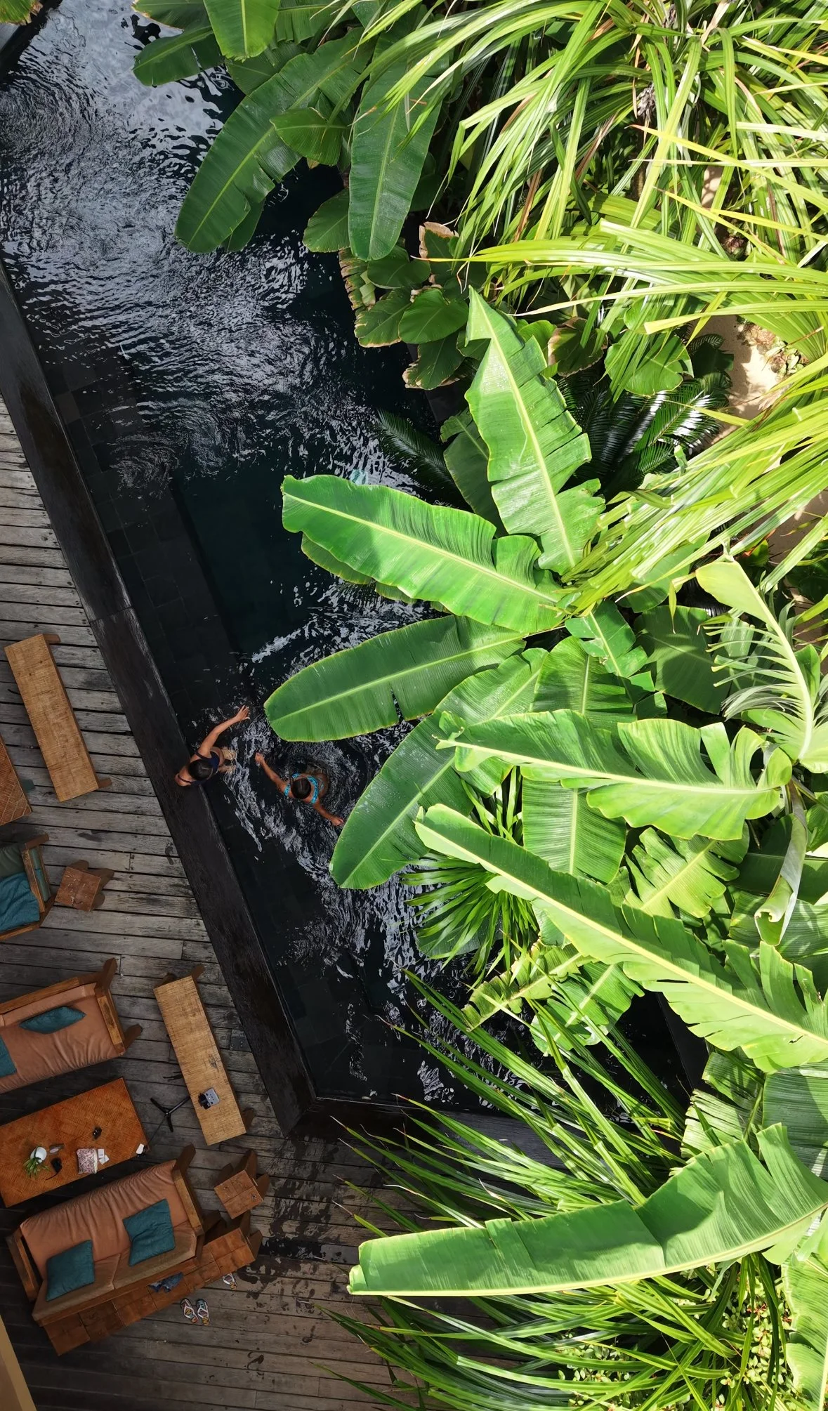 Aerial view of the swimming pool nestled within lush tropical gardens
