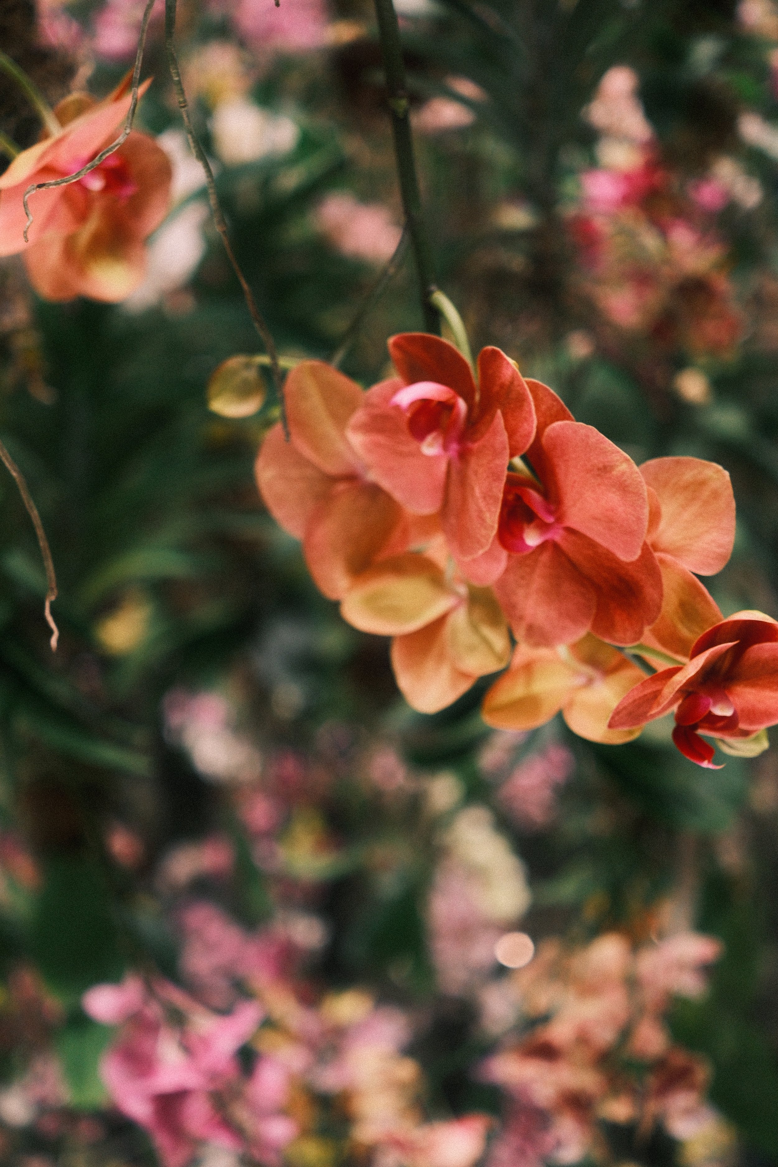"FLOWER"
