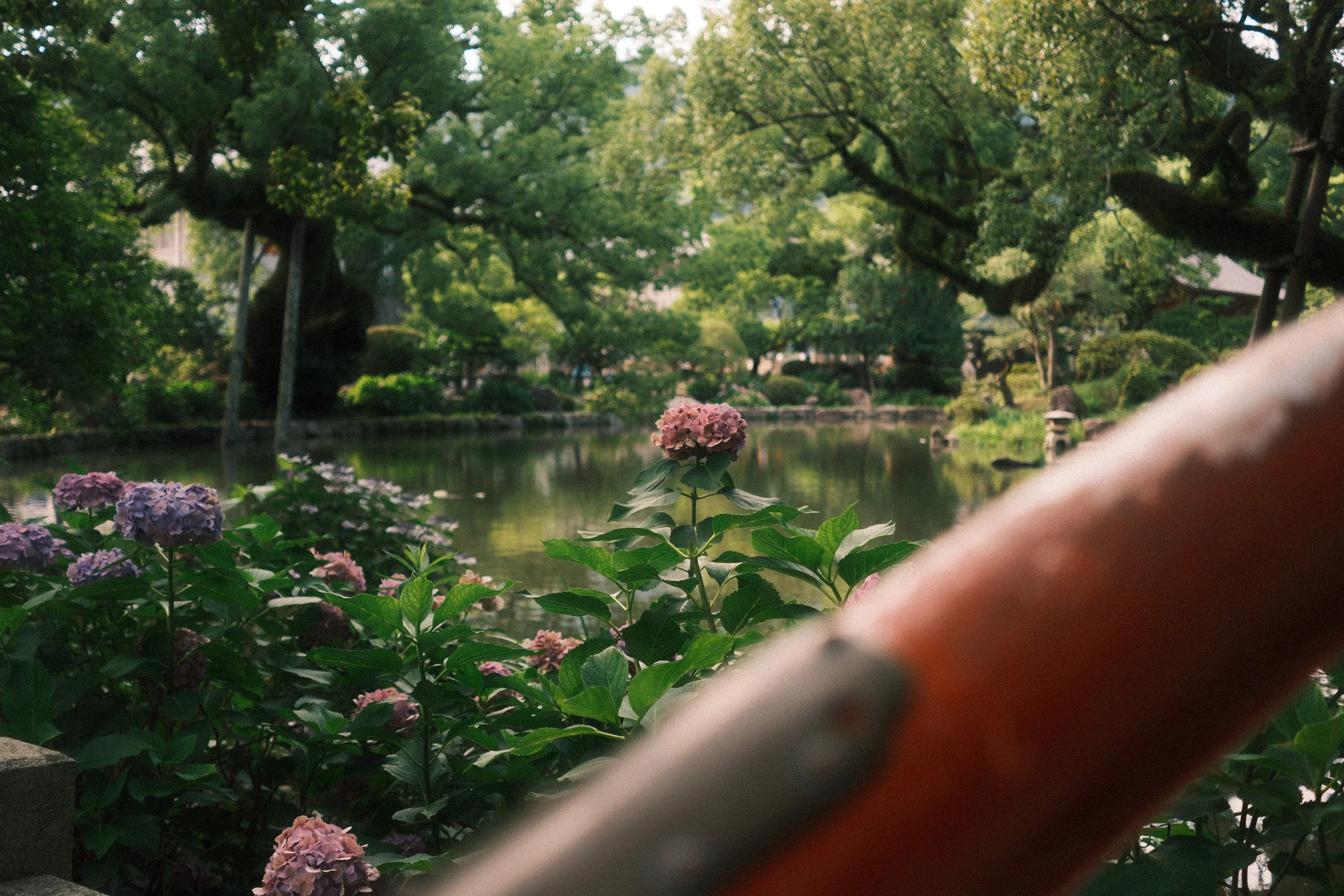 "GARDEN"