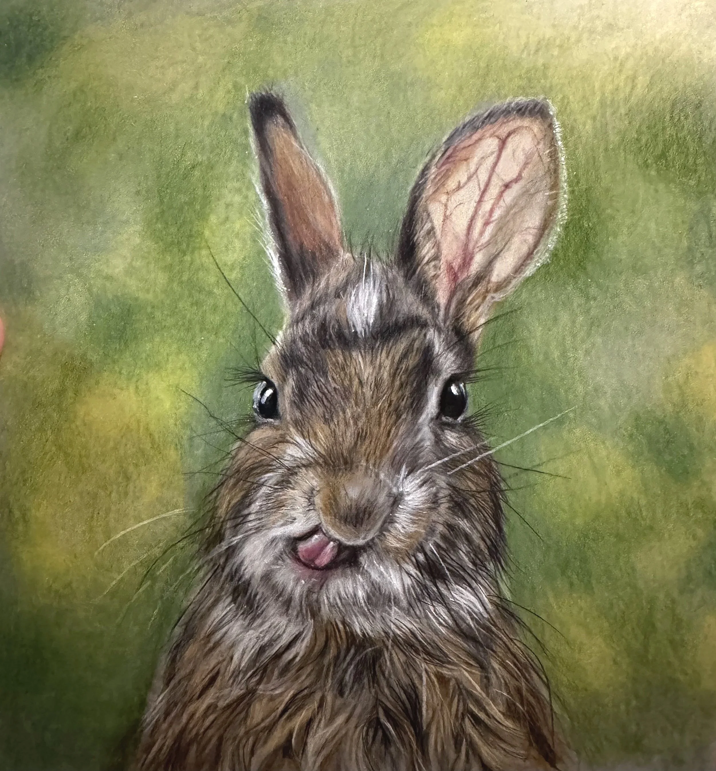 It’s about time I did a newsletter …