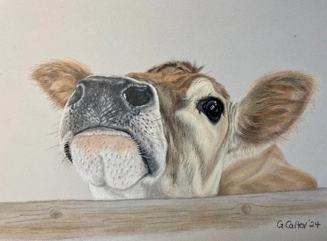 cow-drawing-print.jpg