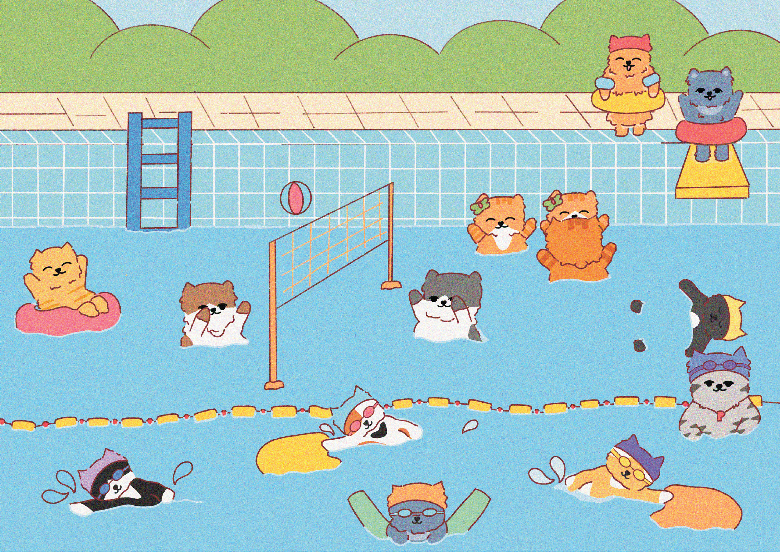 swimmingcampaign.1-02.png