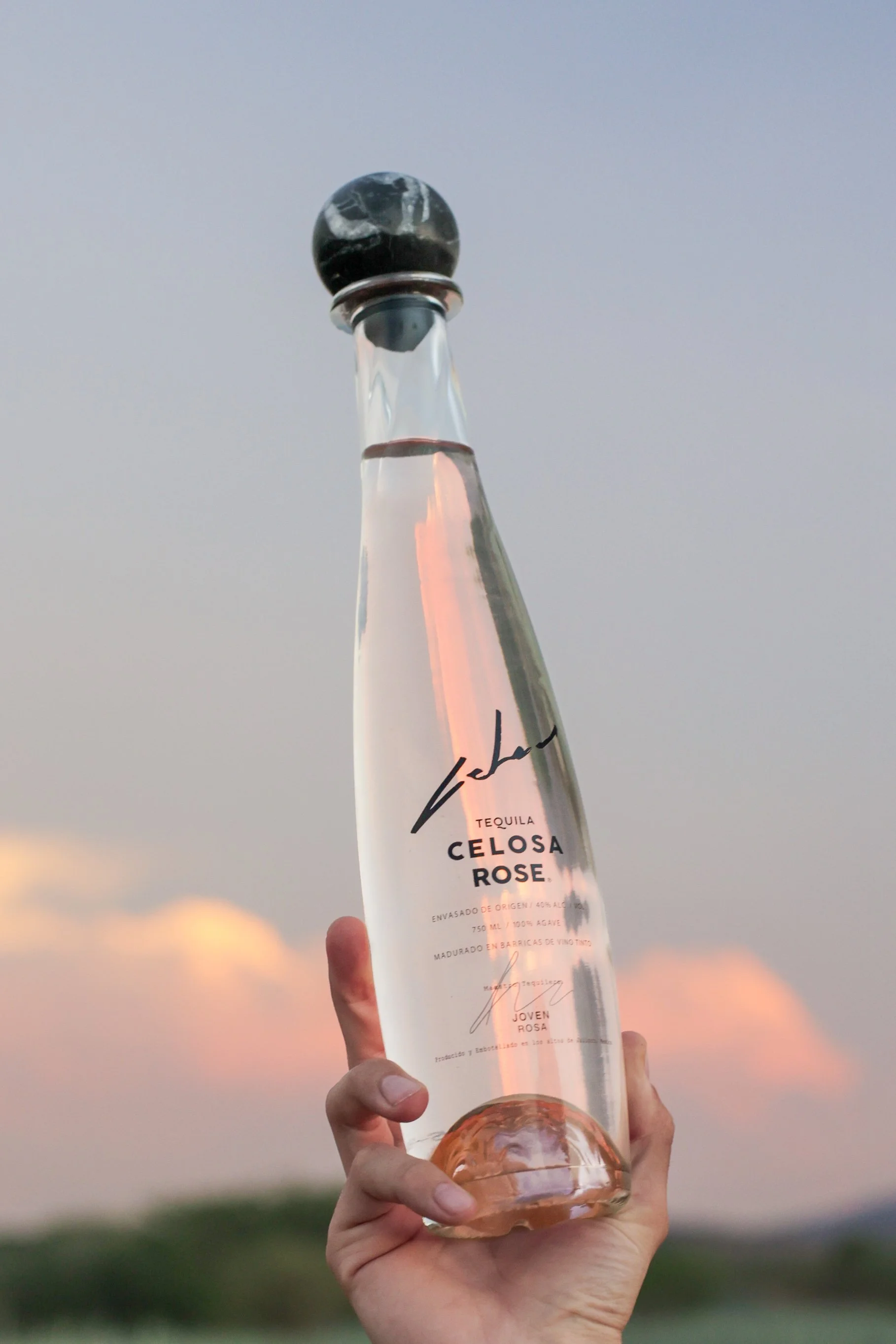 Celosa Rosé - Amaremio / Foto: Iván García