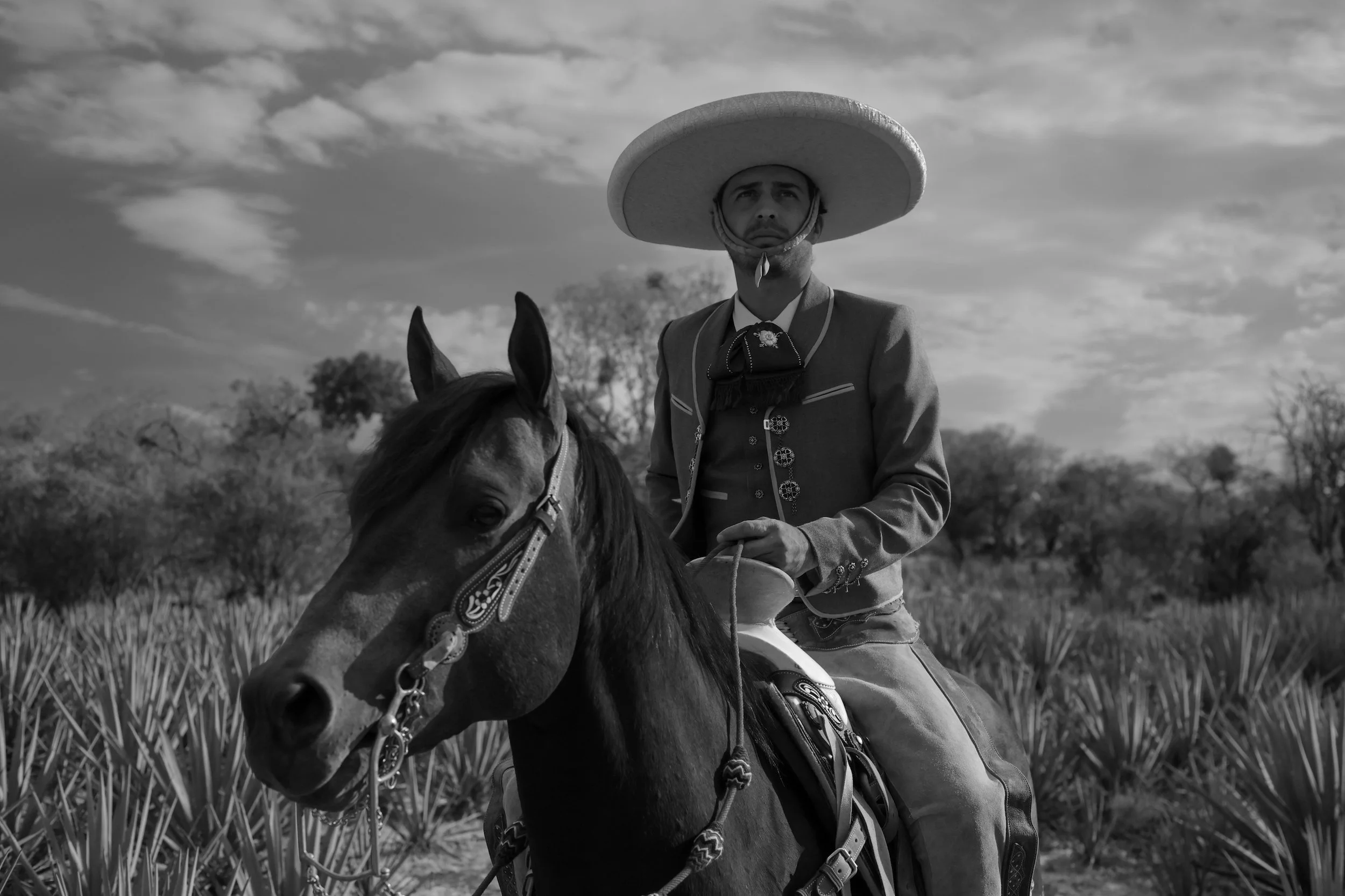 Charro - Amaremio / Foto: Iván García