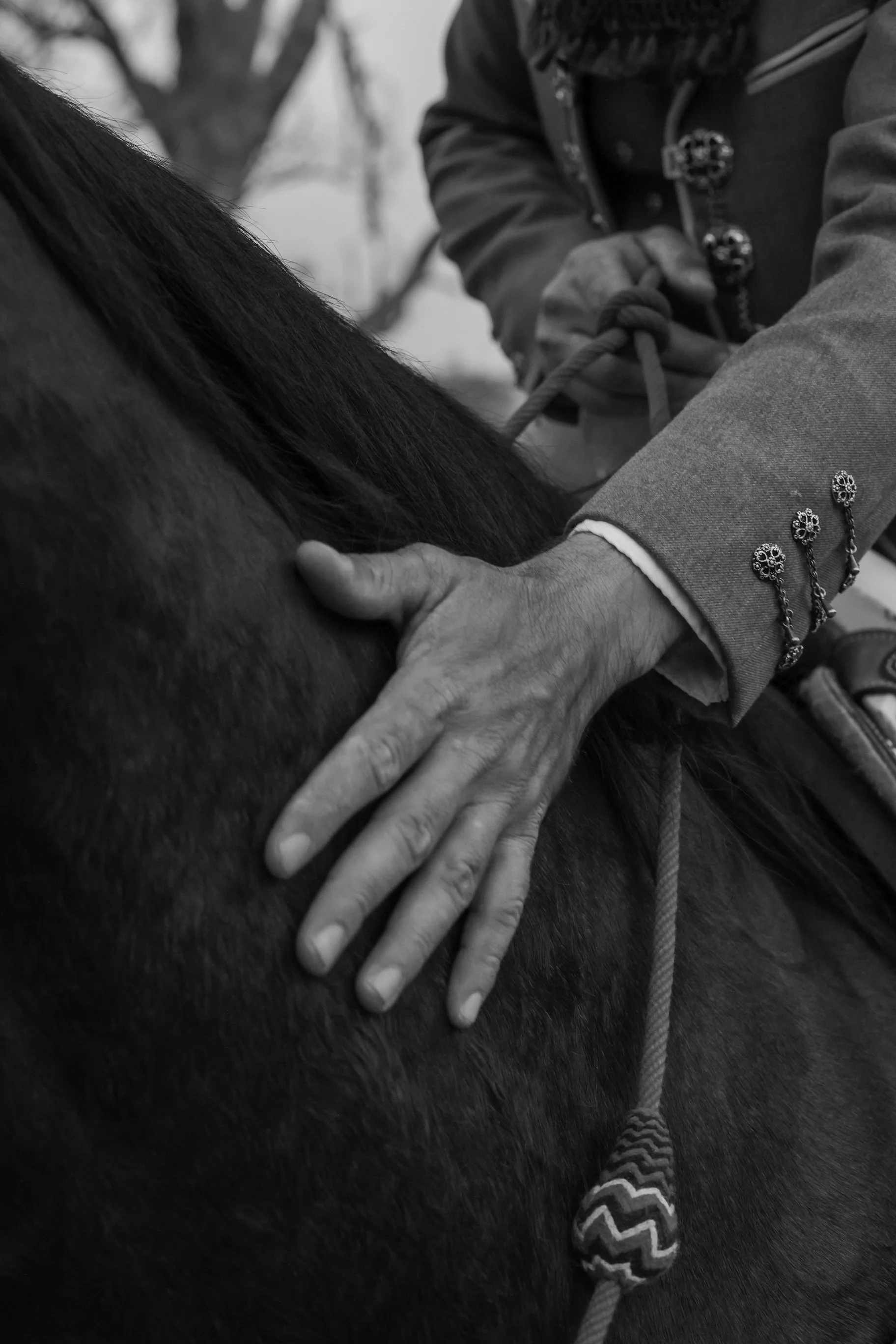 Charro - Amaremio / Foto: Iván García