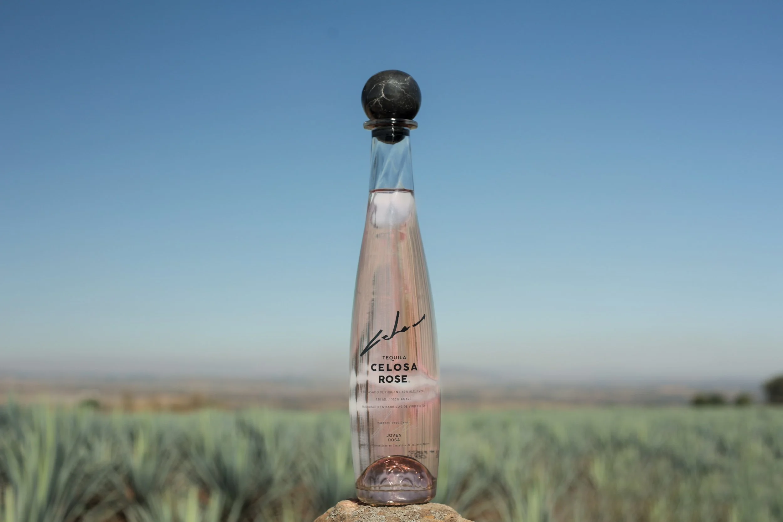 Celosa Rosé - Amaremio / Foto: Iván García
