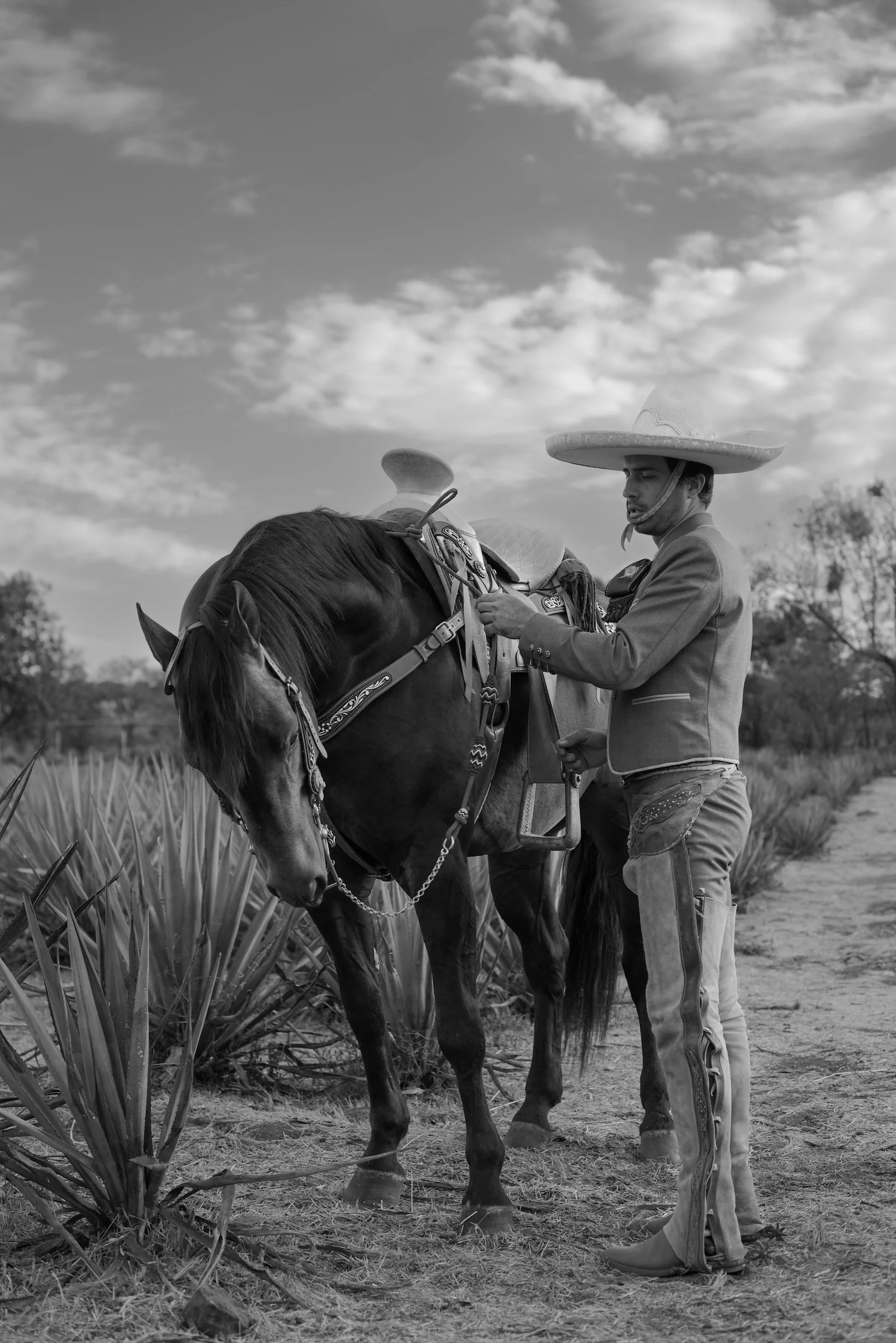 Charro de Jalisco - Amaremio / Foto: Iván García