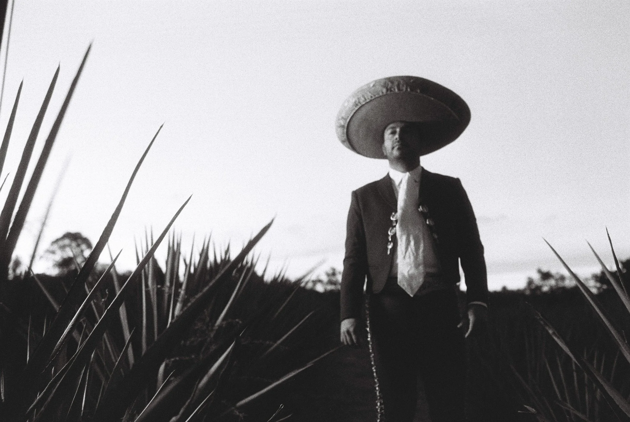 Mariachi / Por Amaremio / Foto: Adrián Escárpita