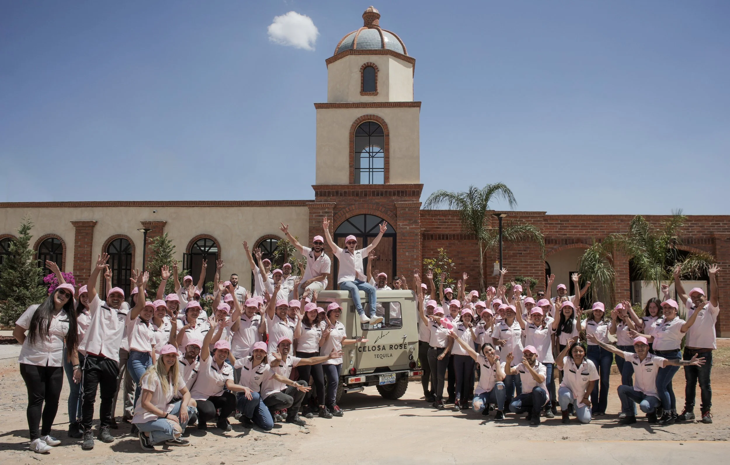 Celosa Rosé - Amaremio / Foto: Iván García