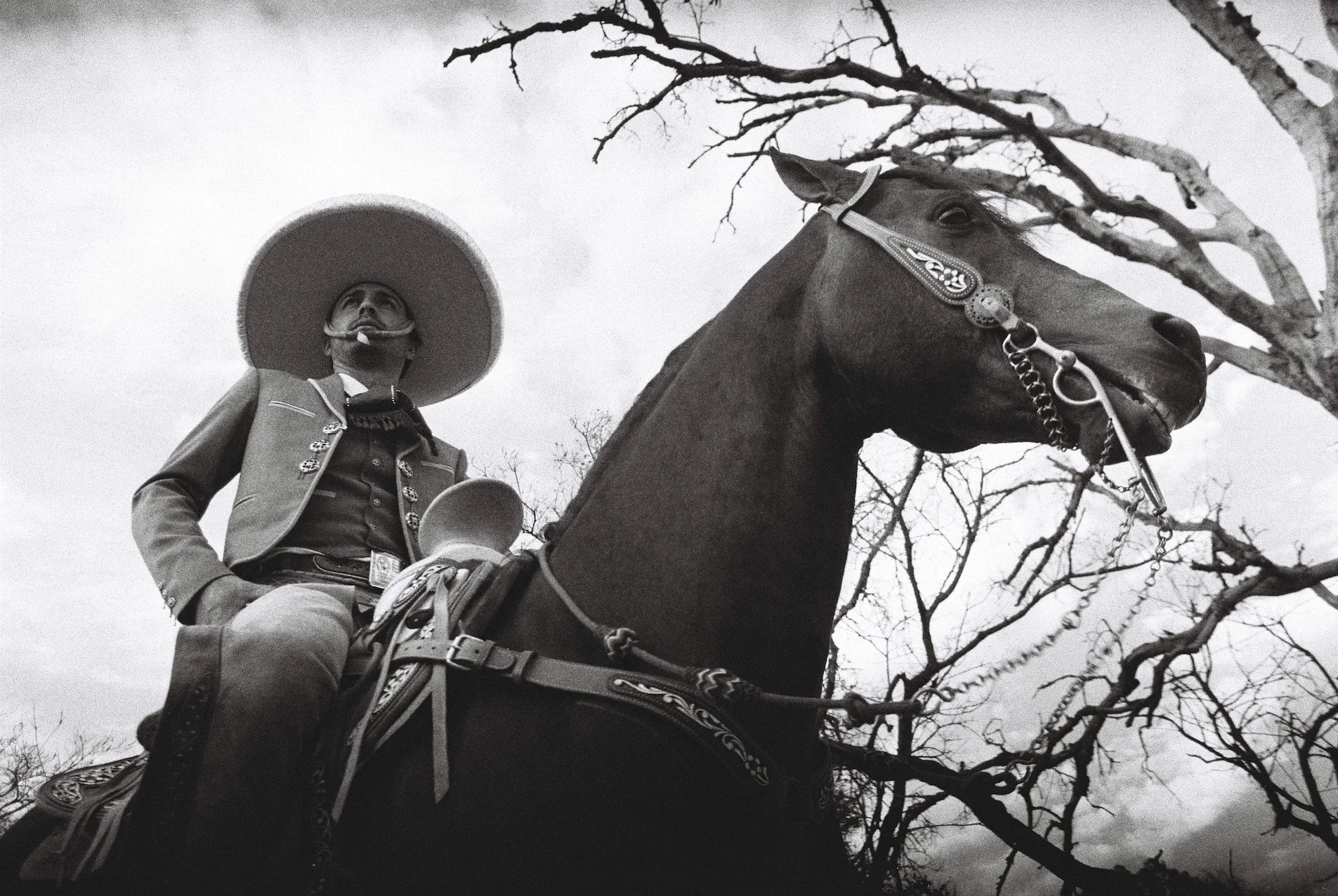 Charro de Jalisco - Amaremio / Foto: Adrián Escárpita