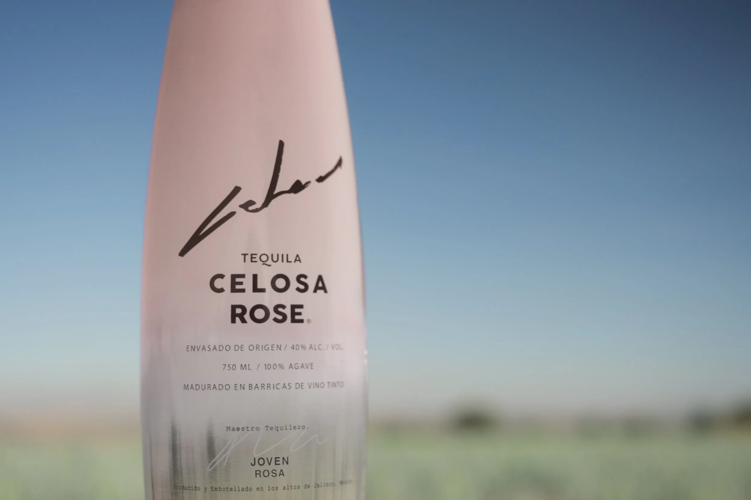Celosa Rosé - Amaremio / Foto: Iván García