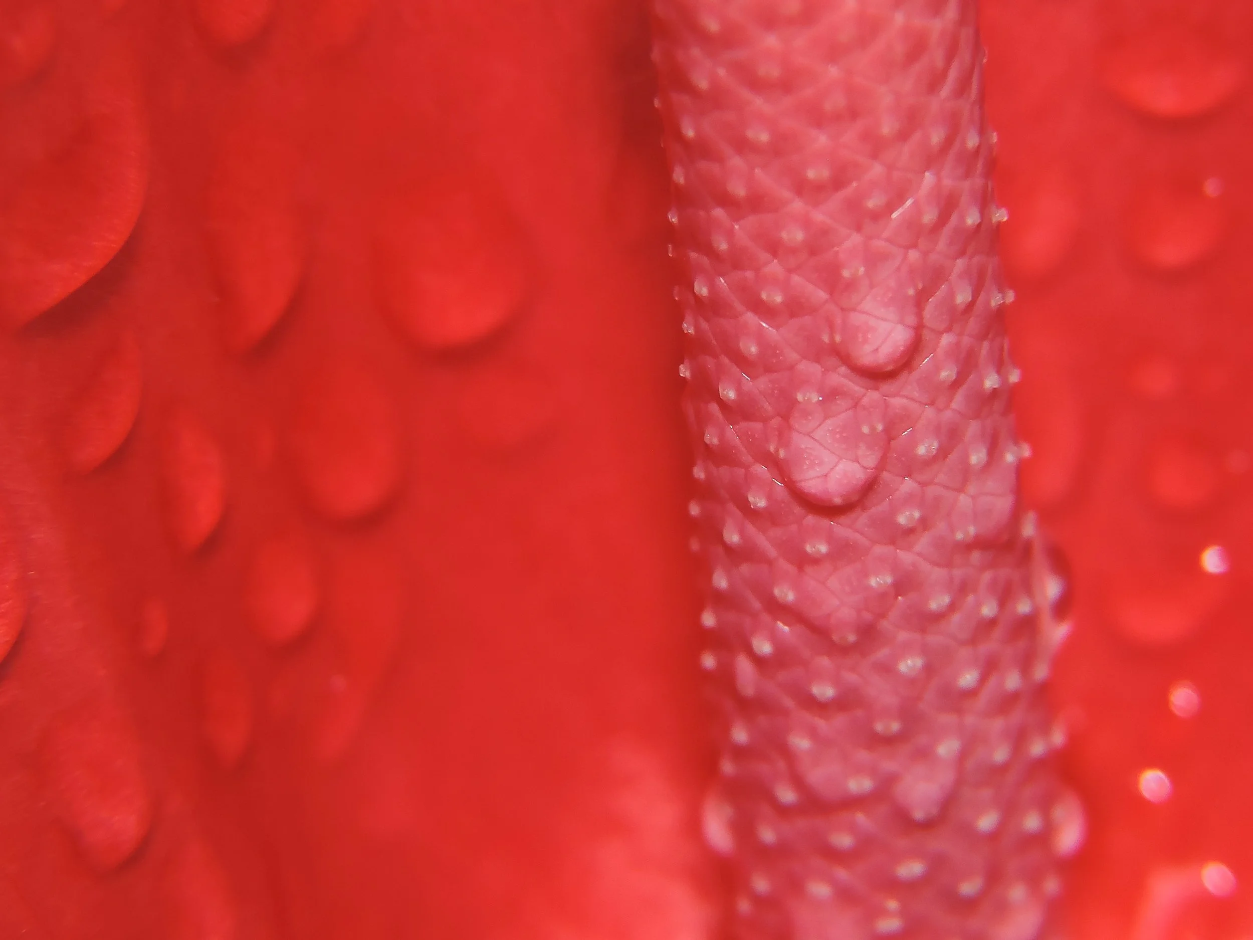 Breaking the Stigma: How Sex-Positive Brands Lead with Integrity