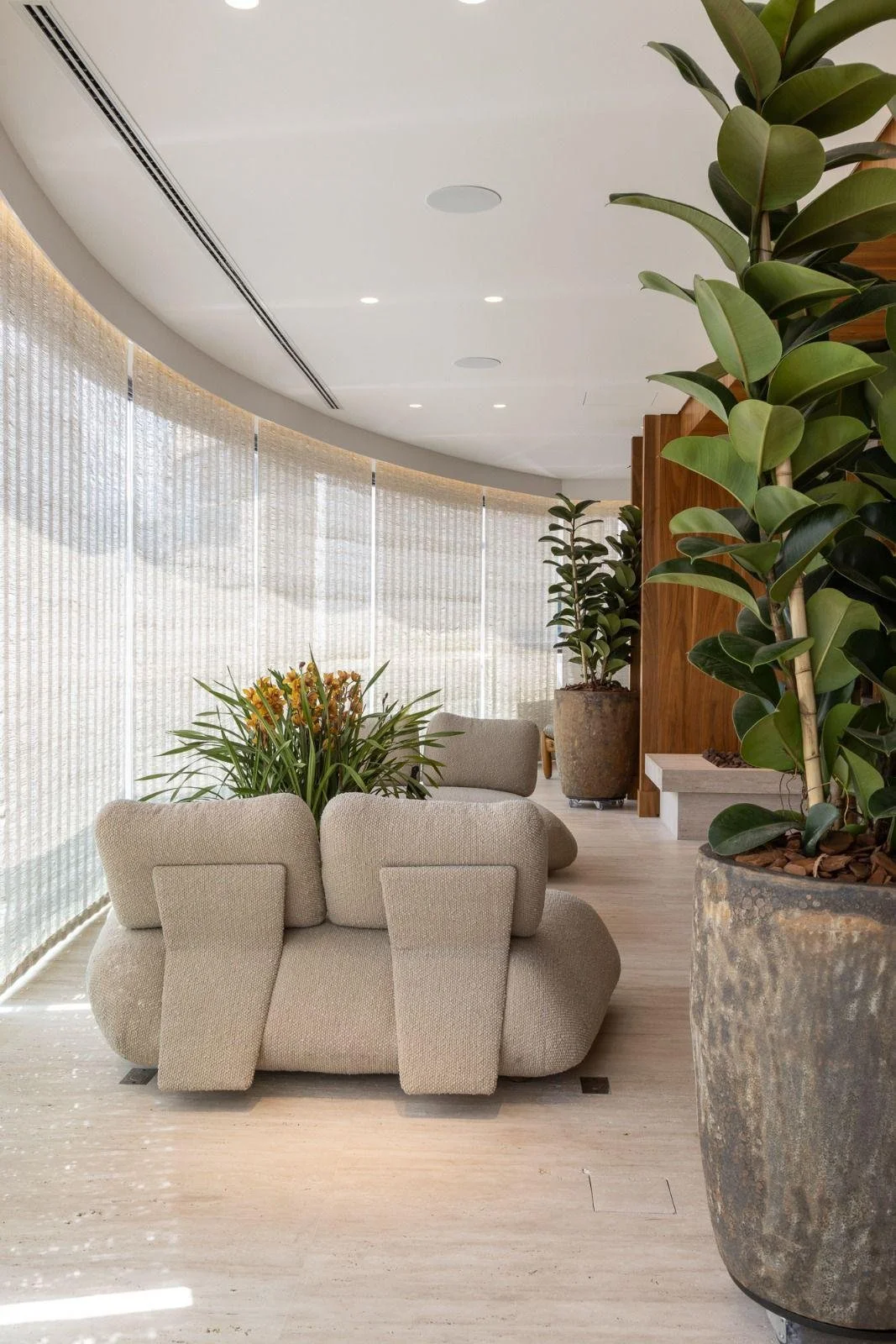 Terrazza - poltrone moderne stilo organico, tende filtranti, verde indoor e luce naturale.