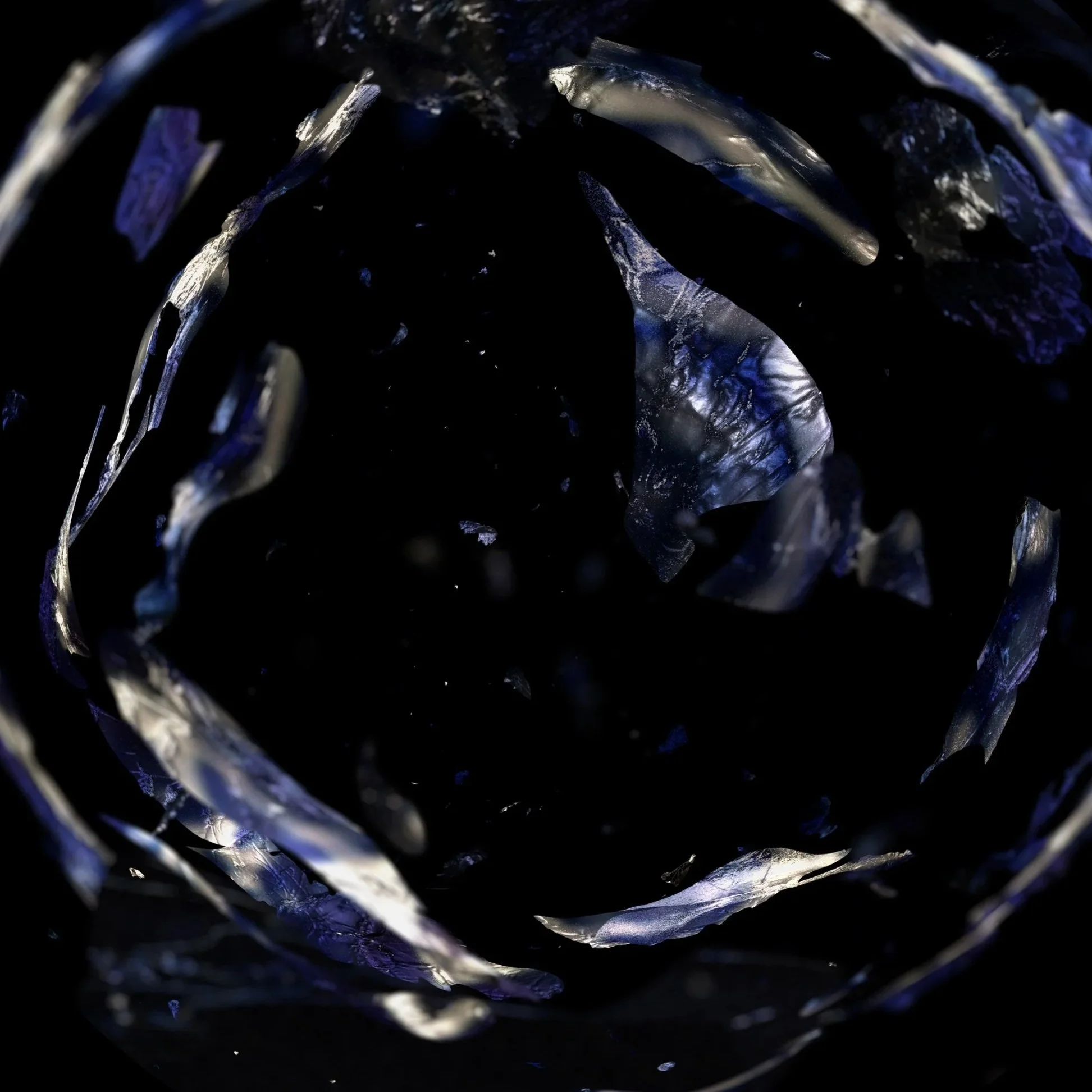 Close-up of a black rose with blue and silver accents.