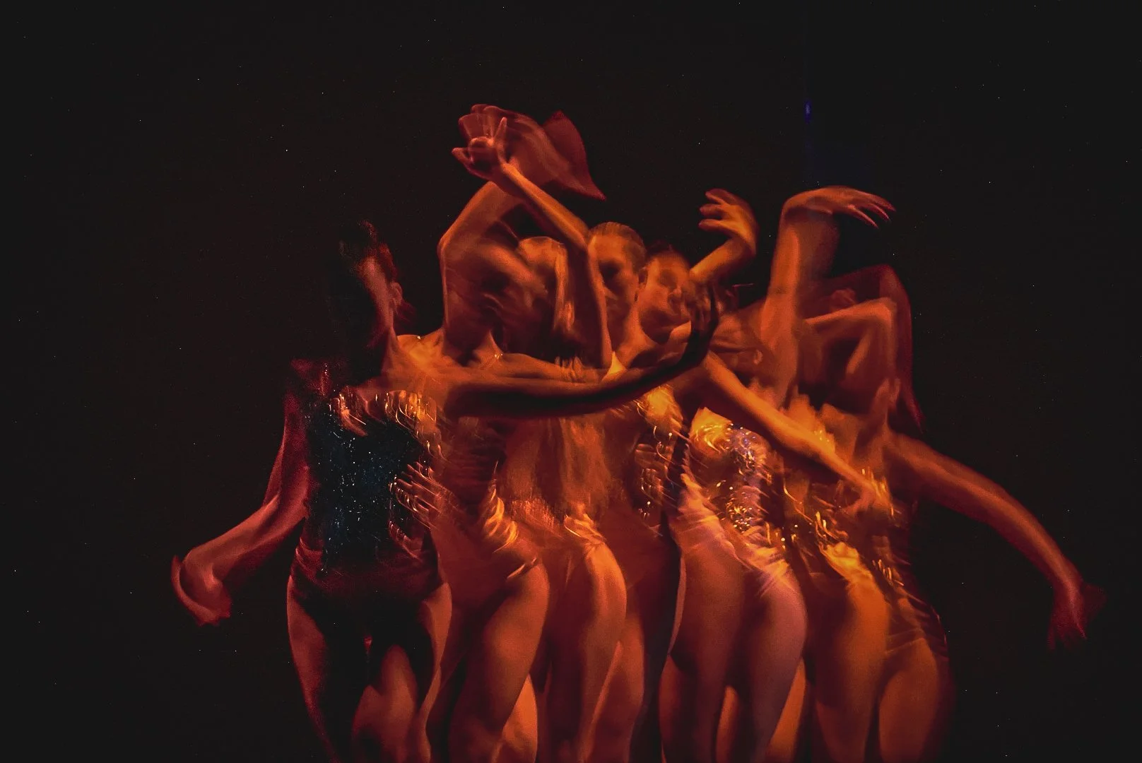 Spectacles/ Comédies Musicales