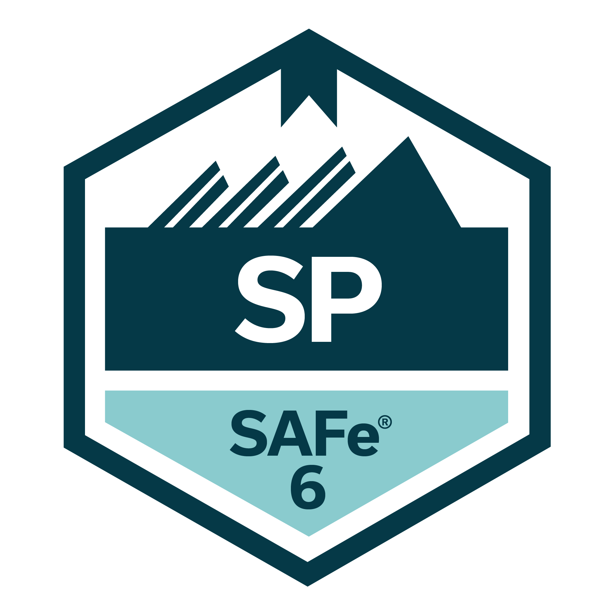 SAFe for Teams with Certified SAFe® Practitioner (SP)