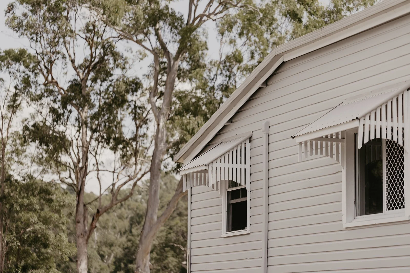 Emily and Emmit - Tay and Francis Photography - 2024-6.jpg