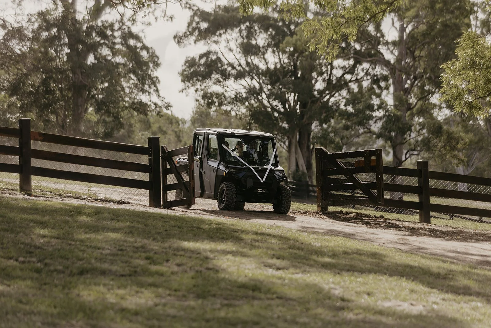 Emily and Emmit - Tay and Francis Photography - 2024-219.jpg