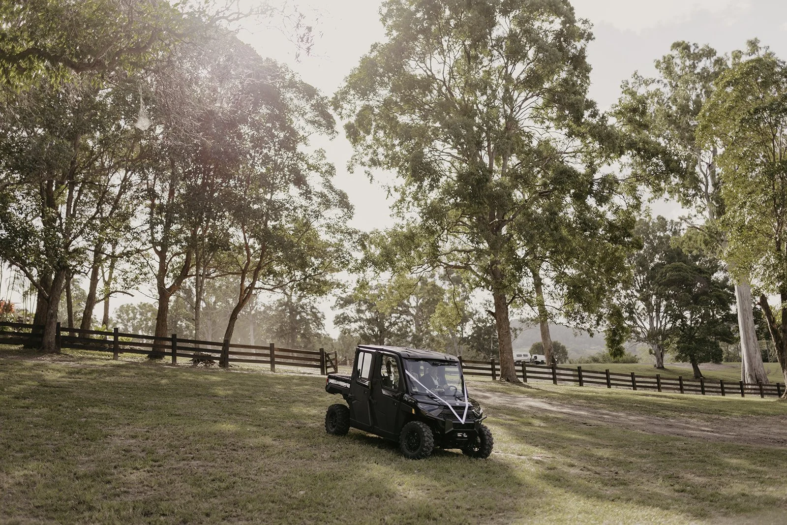 Emily and Emmit - Tay and Francis Photography - 2024-221.jpg