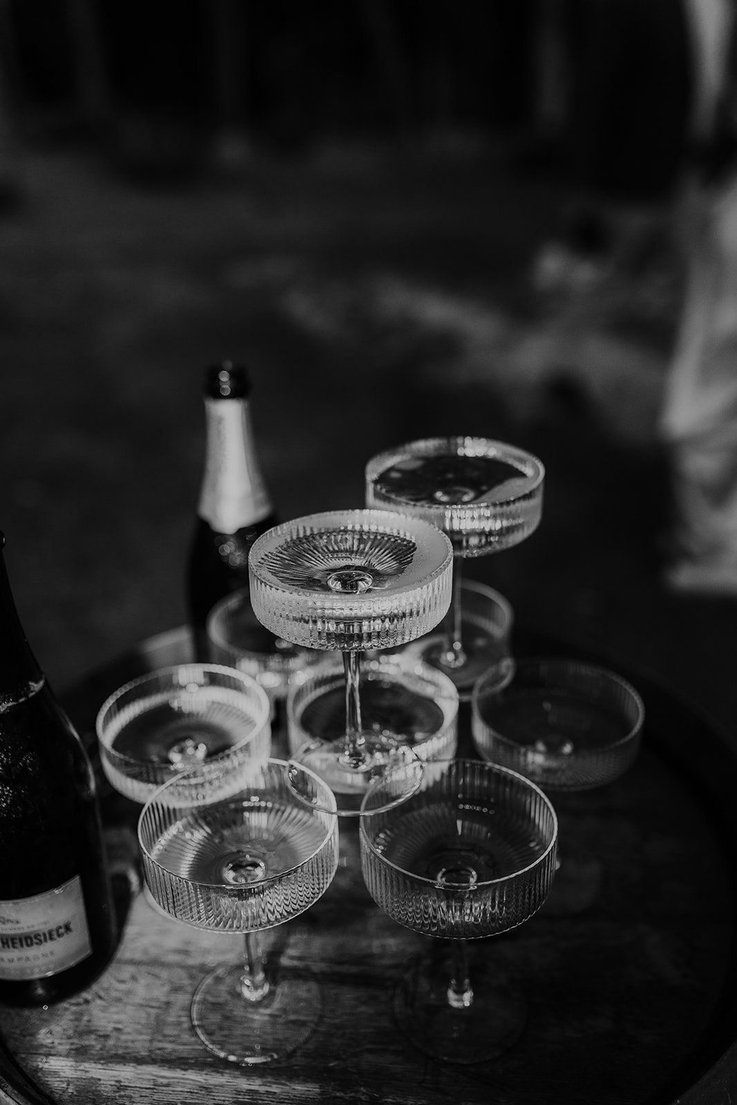 Emily and Emmit - Tay and Francis Photography - 2024-844.jpg