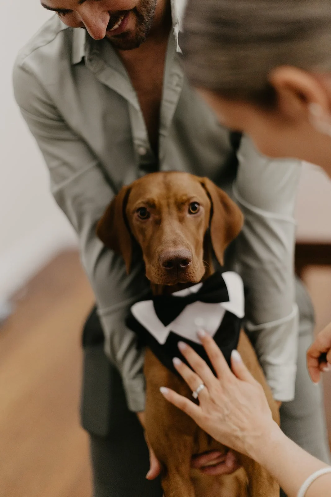 Emily and Emmit - Tay and Francis Photography - 2024-1077.jpg