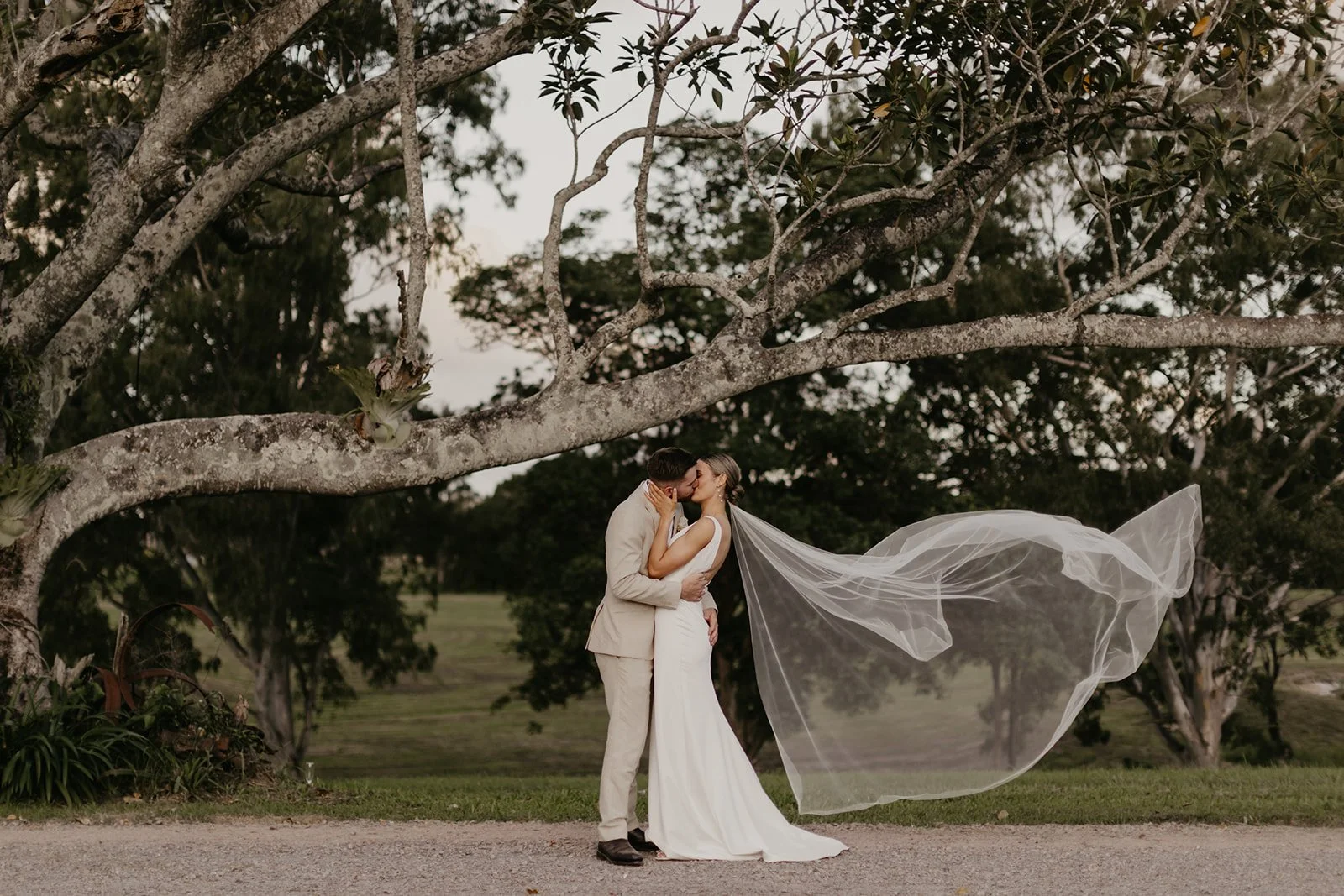 Emily and Emmit - Tay and Francis Photography - 2024-749.jpg