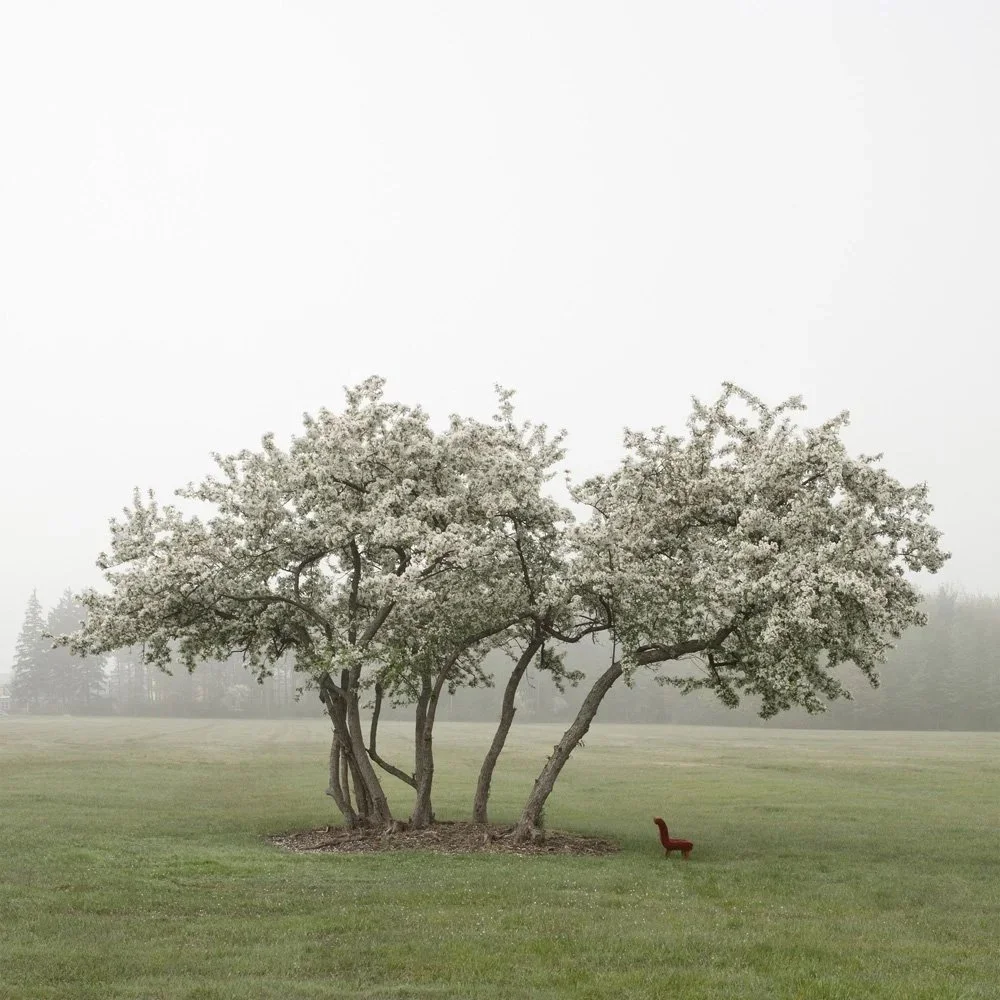 Constructions, Tree With Purple Chair, 2018
Archival pigment print
30 × 30 in., edition of 2 + 1 AP
12 × 12 in., edition of 20 + 2 AP

