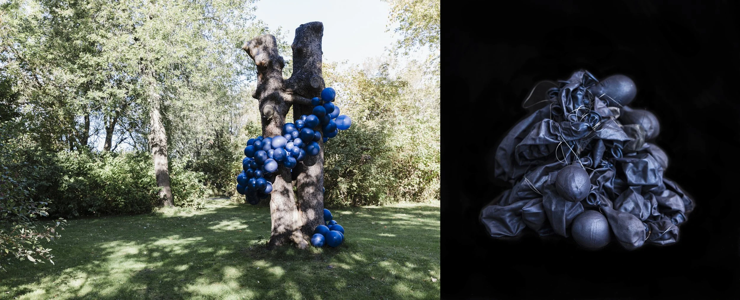 The Space Between, Navy, 2025
Archival pigment print face-mounted to museum-grade acrylic
40 × 60 in., edition of 2
36 × 48 in., edition of 2