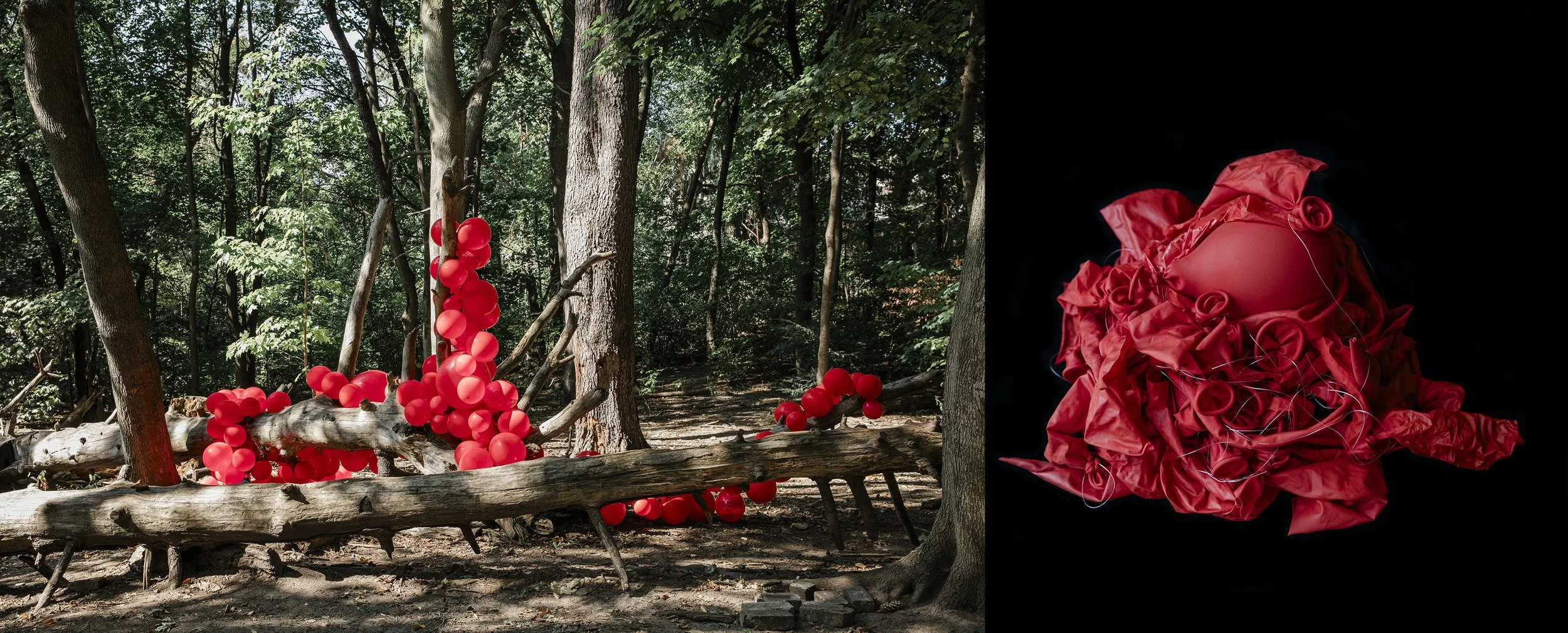 The Space Between, Red, 2024
Archival pigment print face-mounted to museum-grade acrylic
40 × 60 in., edition of 2
36 × 48 in., edition of 2