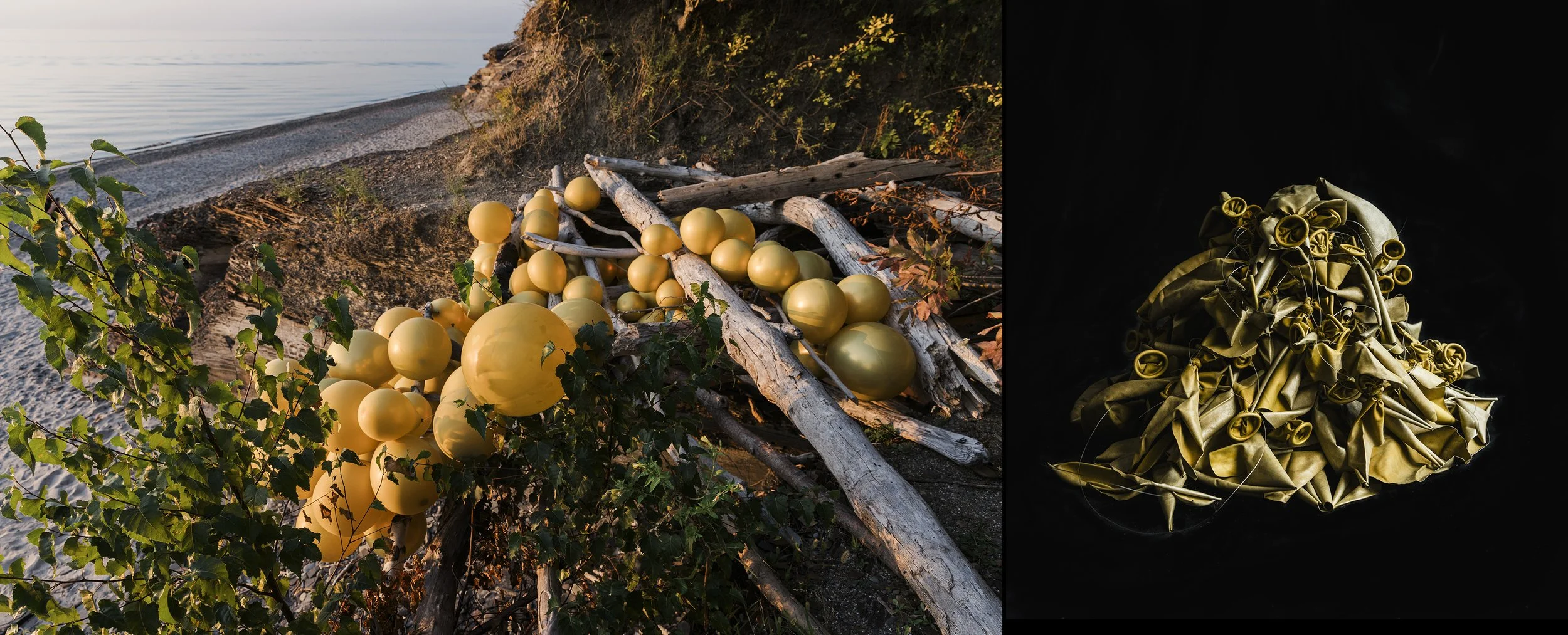 The Space Between, Gold, 2025
Archival pigment print face-mounted to museum-grade acrylic
40 × 60 in., edition of 2
36 × 48 in., edition of 2