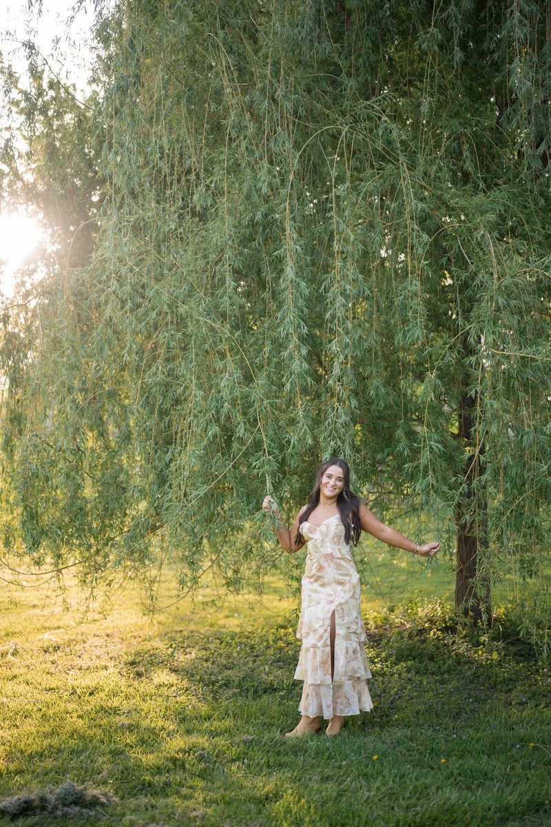 beautiful girl in a dress near a weeping willow tree