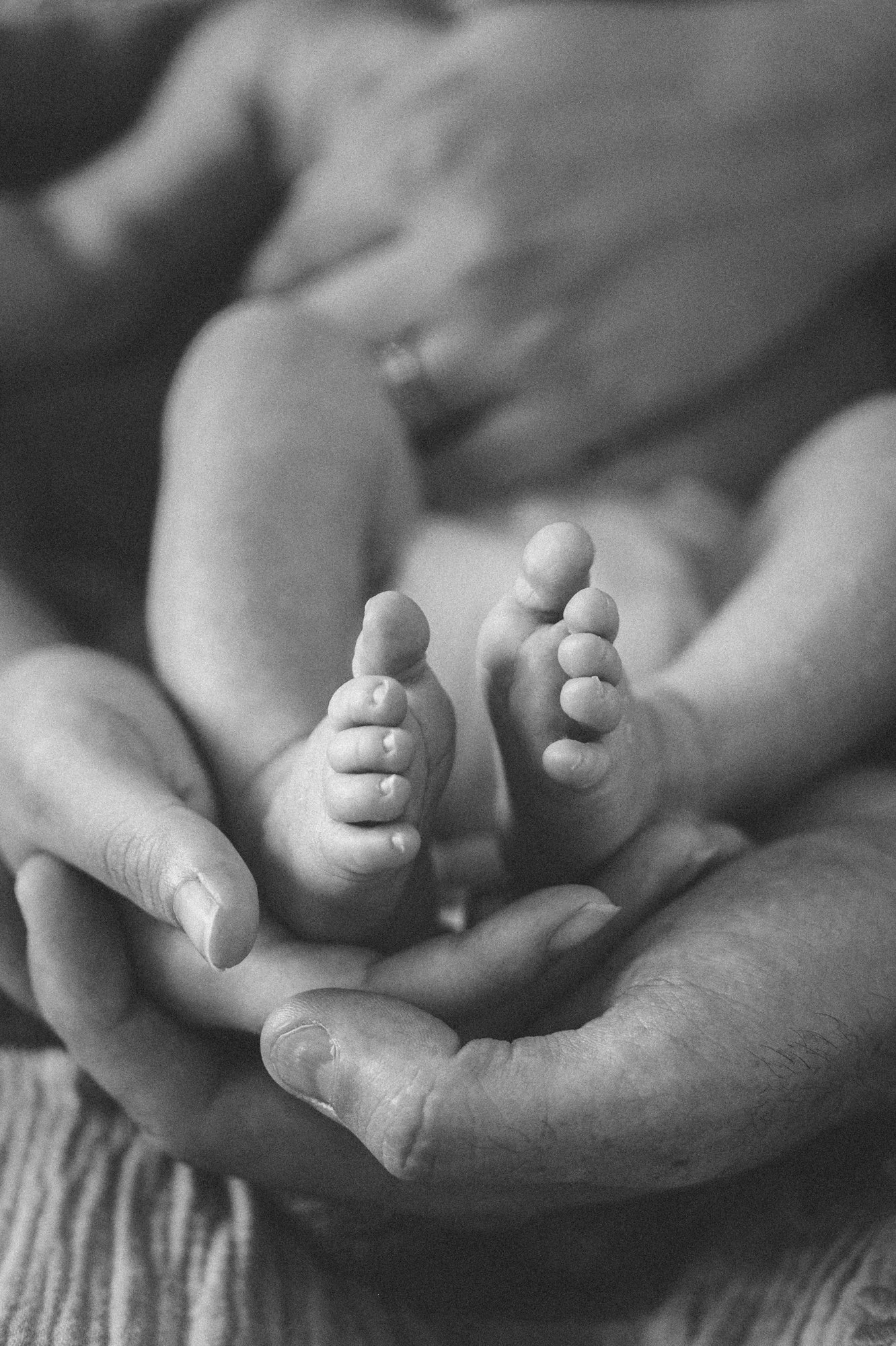 newborn photographer chicago