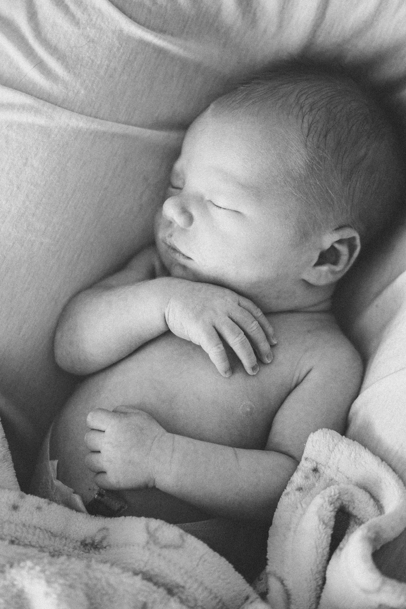 chicago newborn photographer