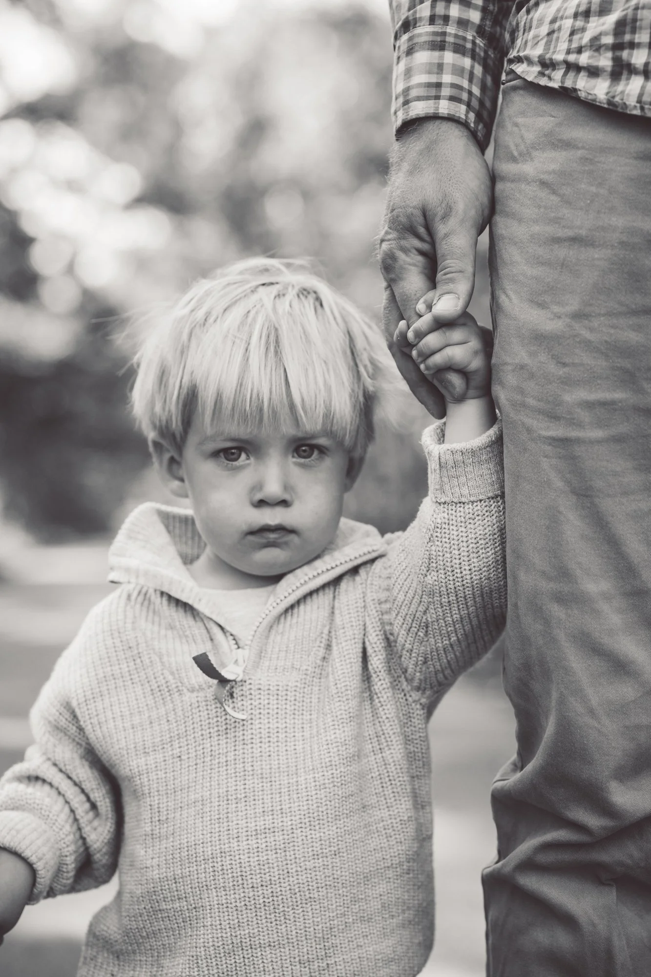 family photography chicago