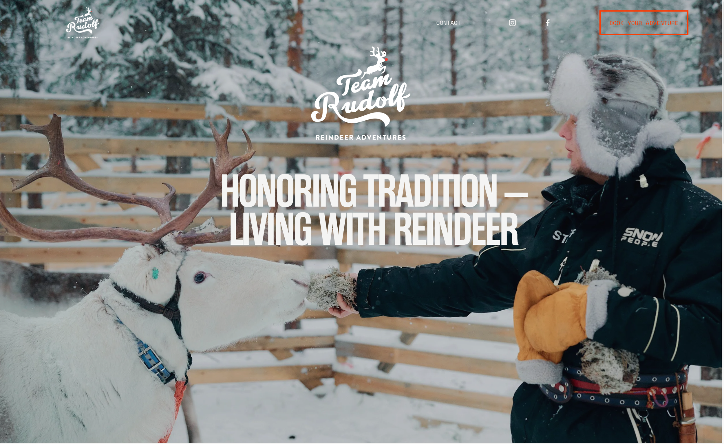 www-sivut sisällönhallinnalla, visuaalinen ilme  www.teamrudolf.fi