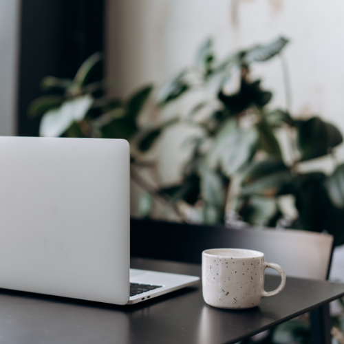 Laptop and coffee mug on a dark table with a plant in the background.
