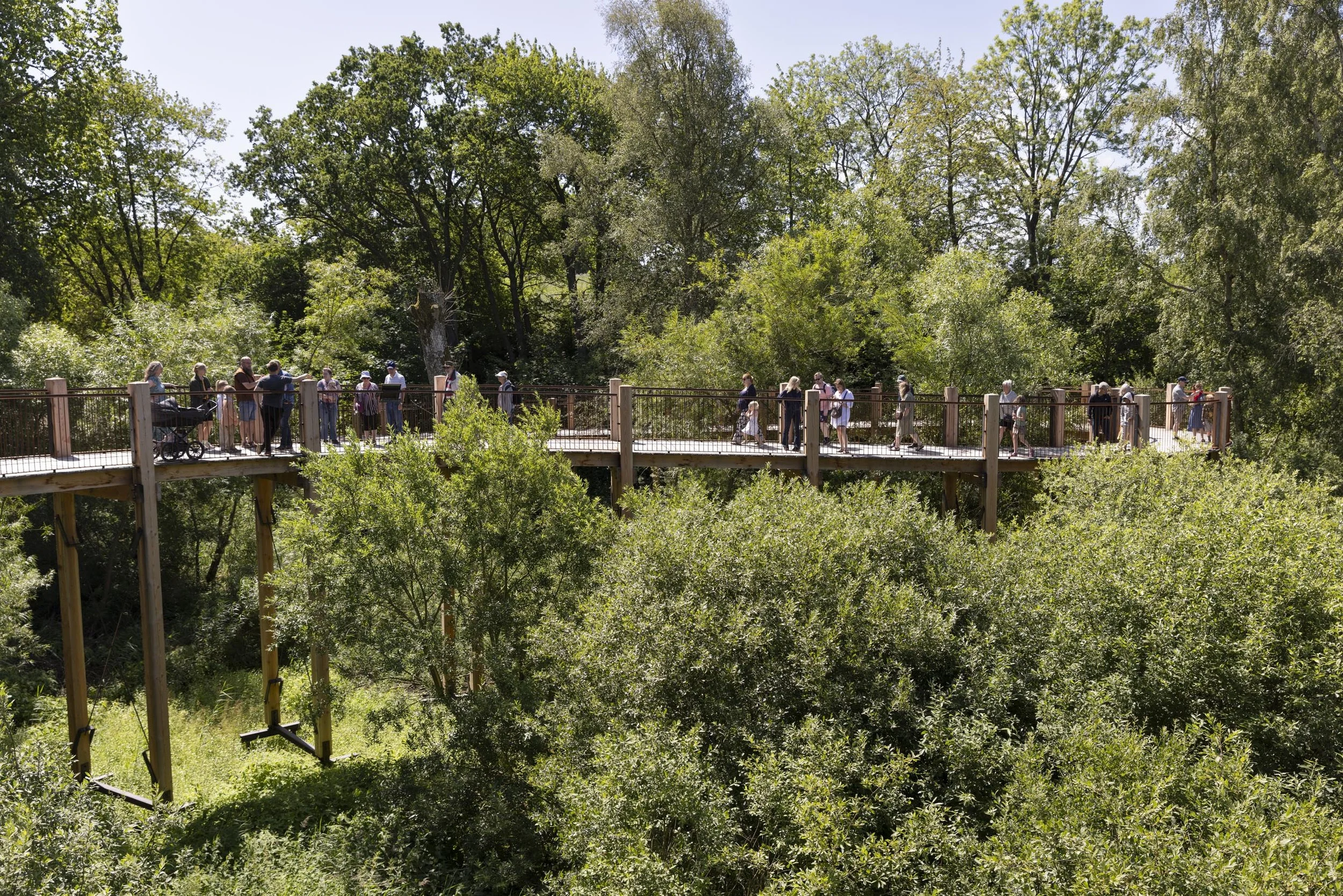 The Wild Winding Path.jpg